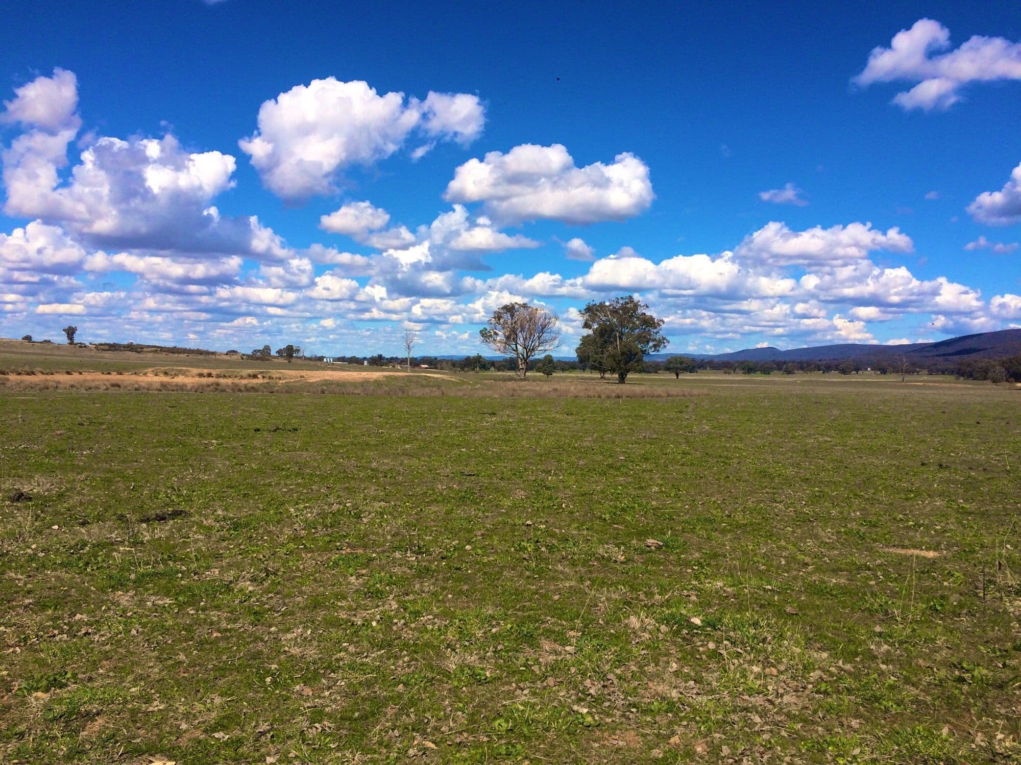 Lot 2 Fragar Road, Cowra NSW 2794, Cowra - Thumbnail 6