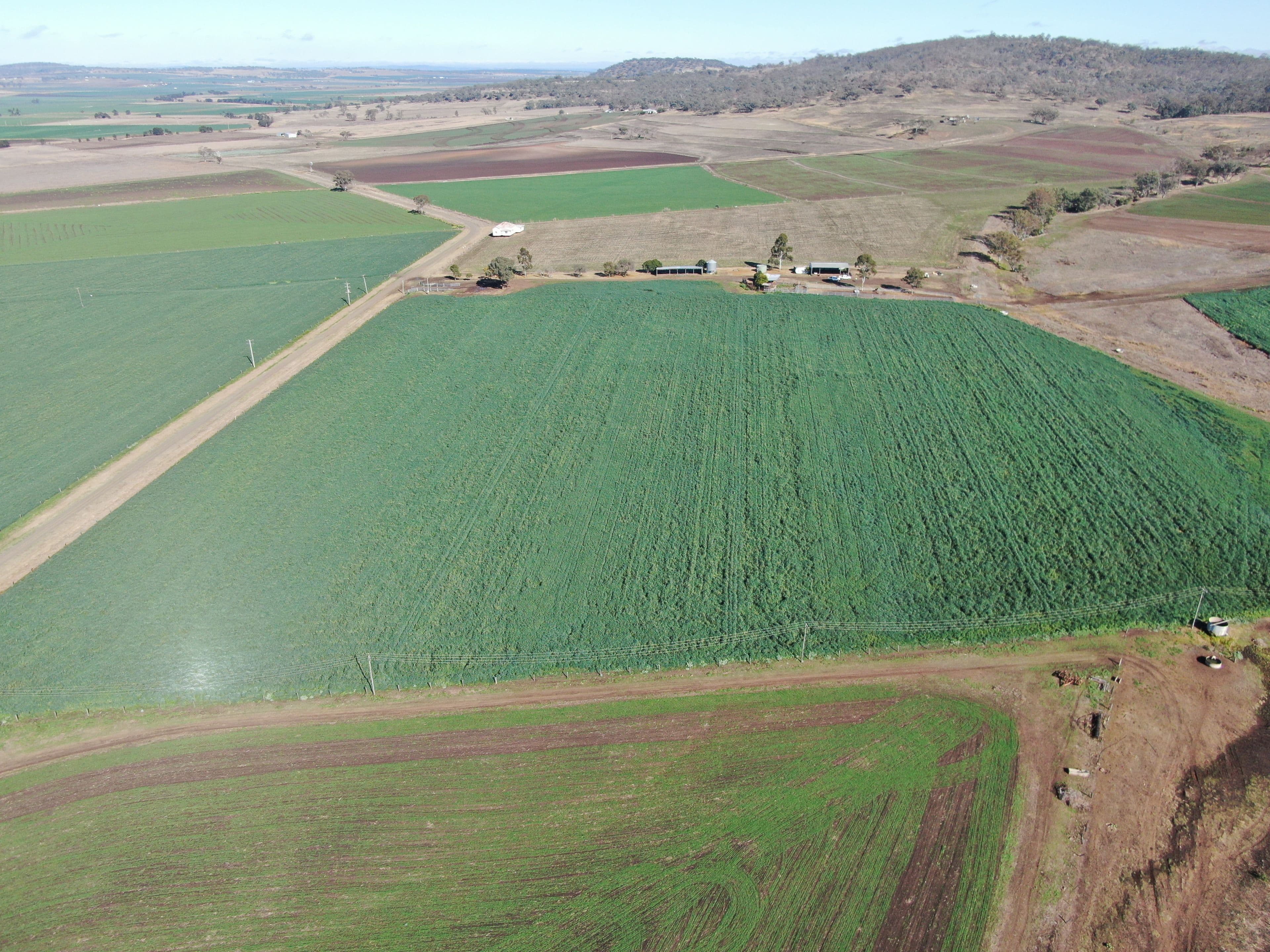 101 Doyles Road, Clintonvale QLD 4370, Clintonvale - Thumbnail 4