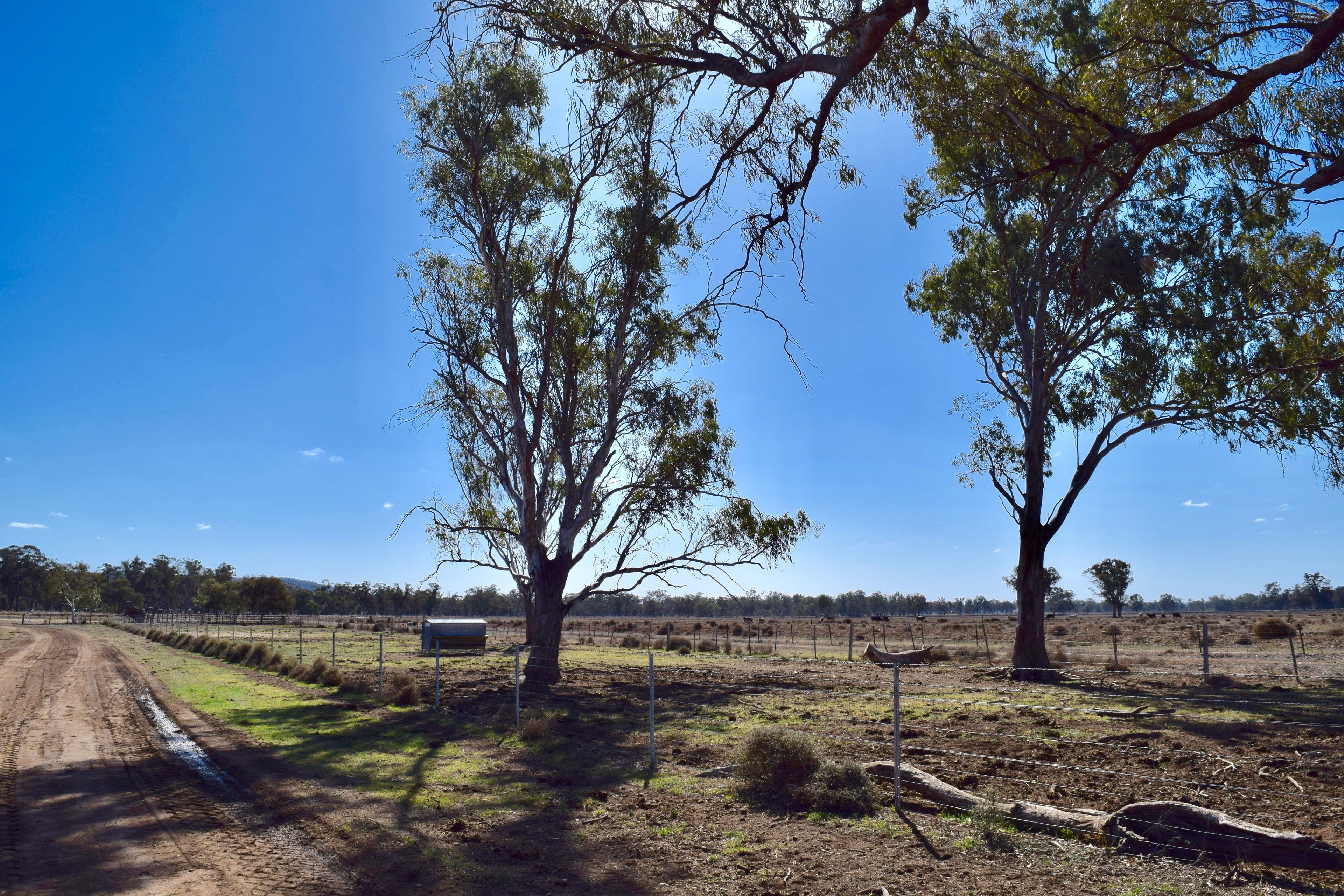 43 Wilmar Lane - Old Grudgery, Forbes NSW 2871, Forbes - Thumbnail 8