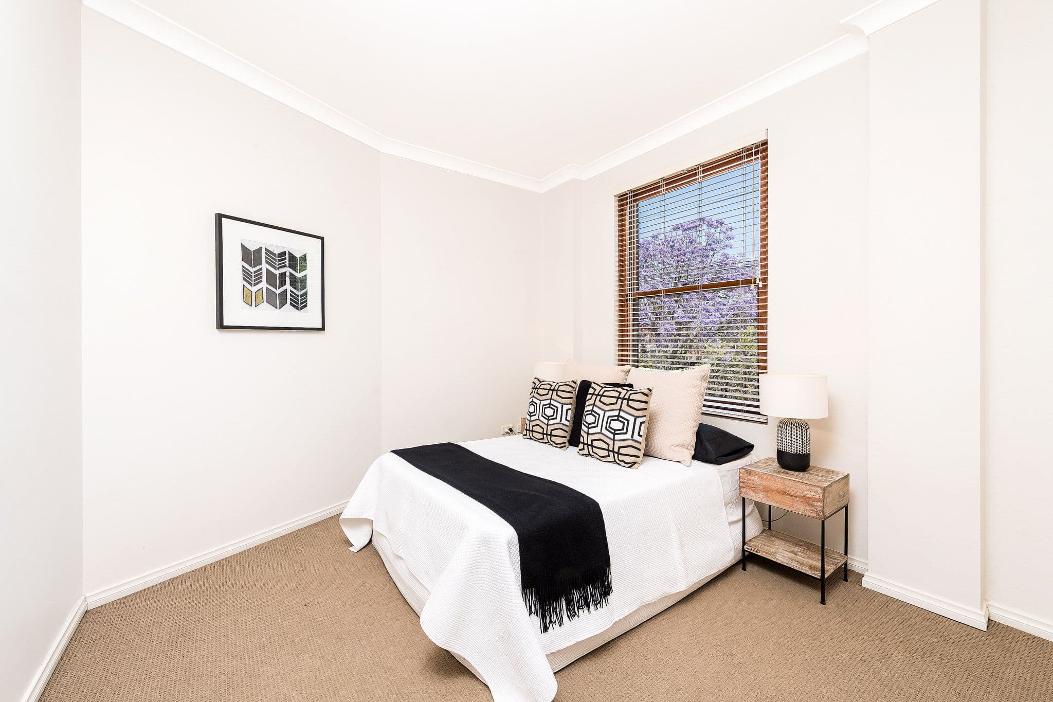 5 Young Street, Annandale - Thumbnail 7