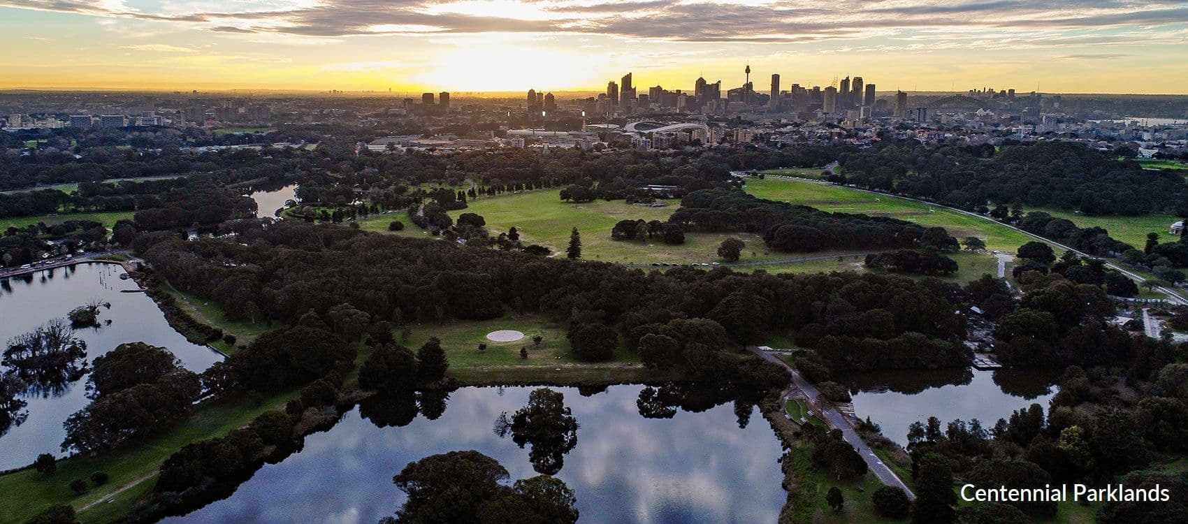 12 Figtree Avenue, Randwick NSW 2031, Randwick - Thumbnail 7
