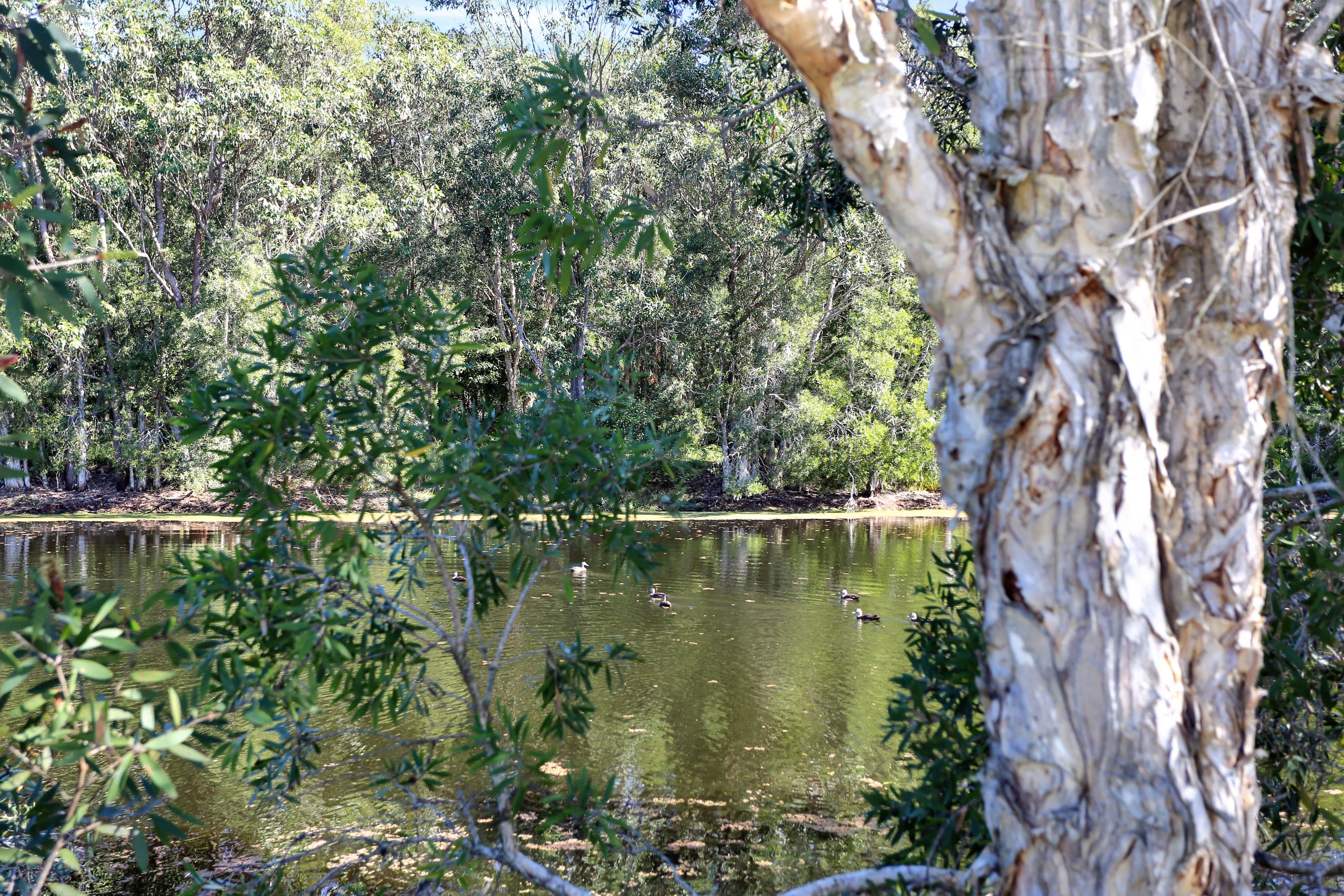 22 Sinclair Drive, Tea Gardens NSW 2324, Tea Gardens - Thumbnail 6