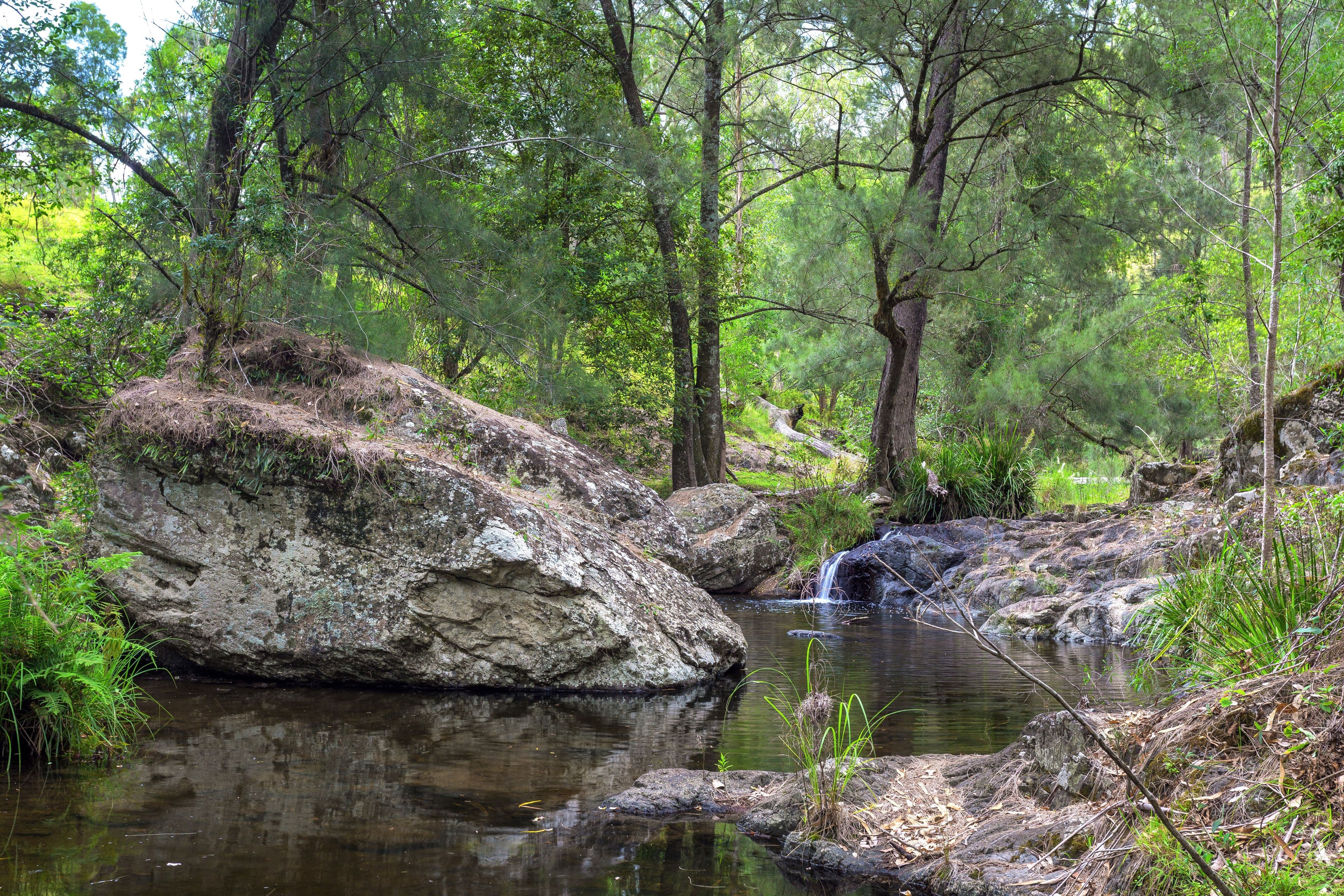 188 Enfield Range Road, Cooplacurripa NSW 2424, Cooplacurripa - Thumbnail 2