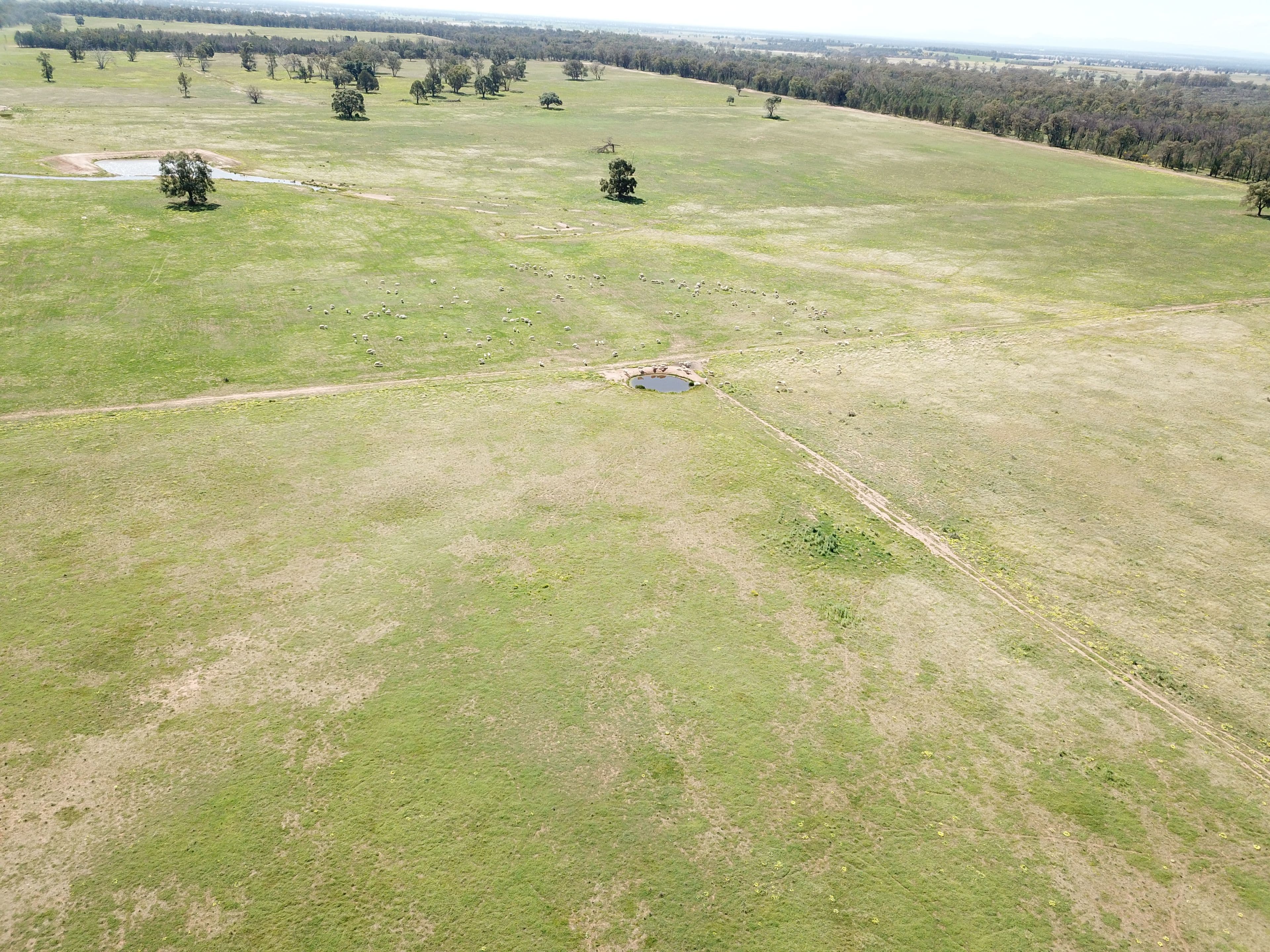 'Windeena' 802 Milpulling Road, Gilgandra NSW 2827, Gilgandra - Thumbnail 6