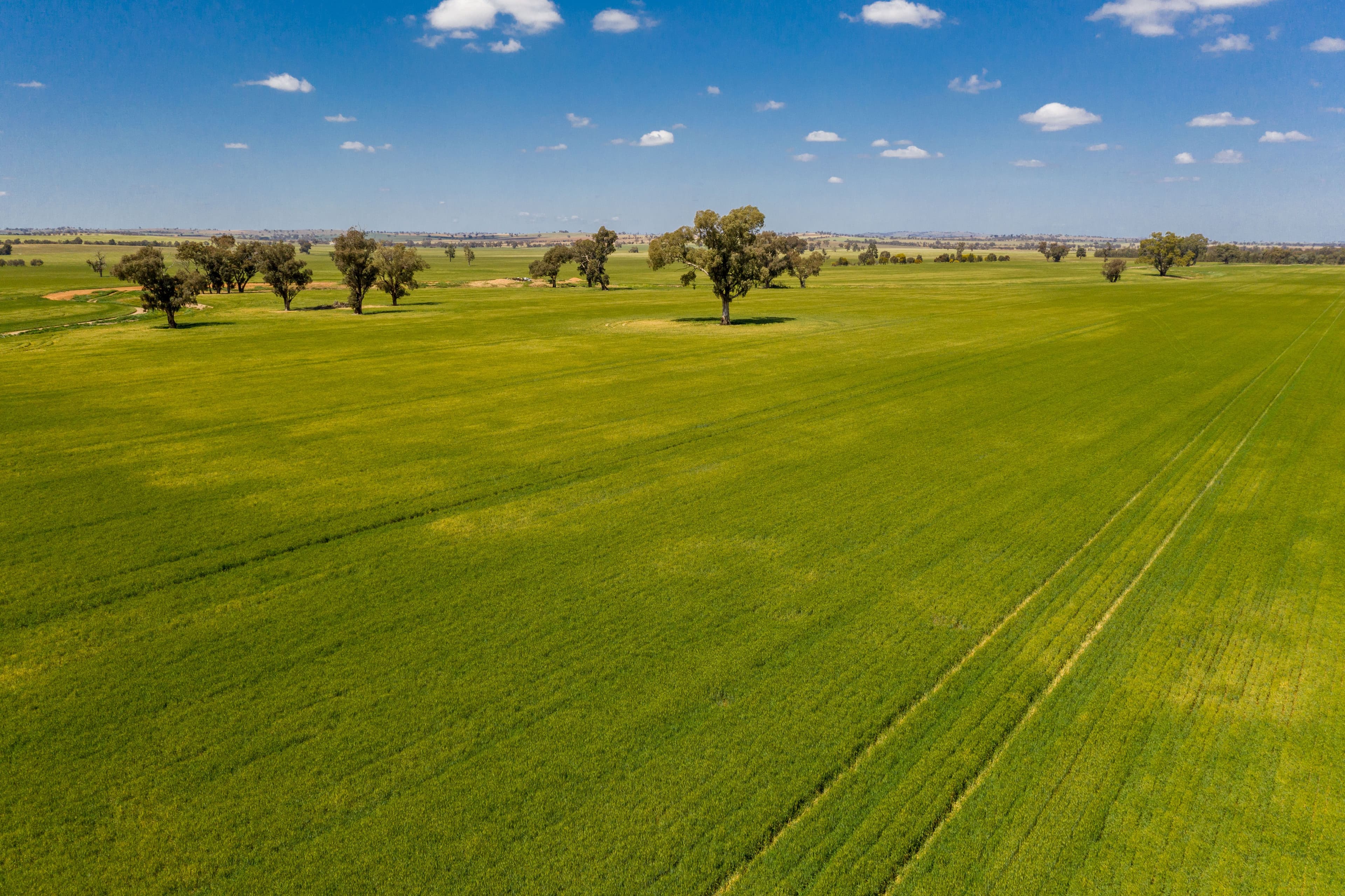 Junee NSW 2663, Junee - Thumbnail 3