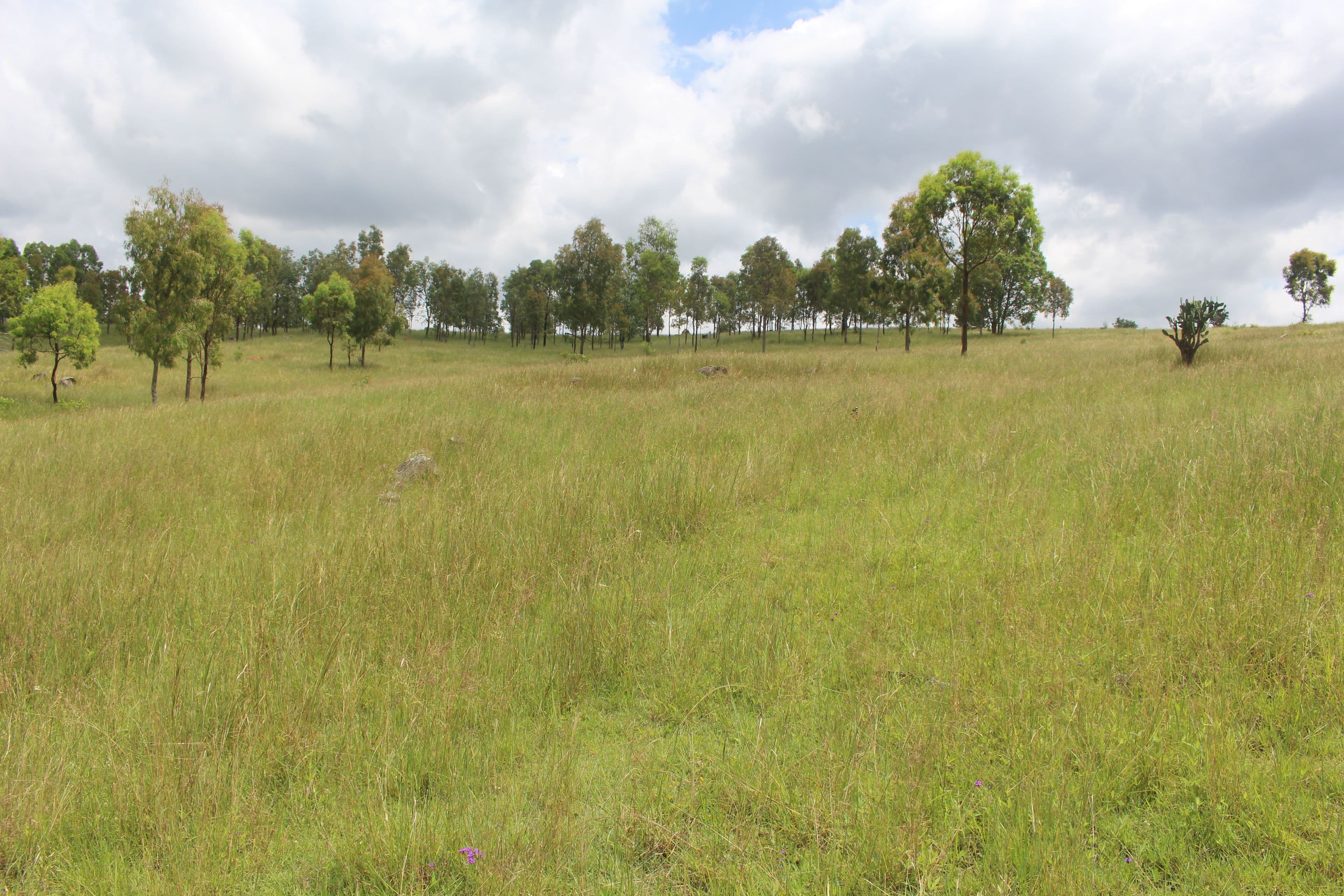 Lot 5 Old Esk North Road, South East Nanango QLD 4615, South East Nanango - Thumbnail 7