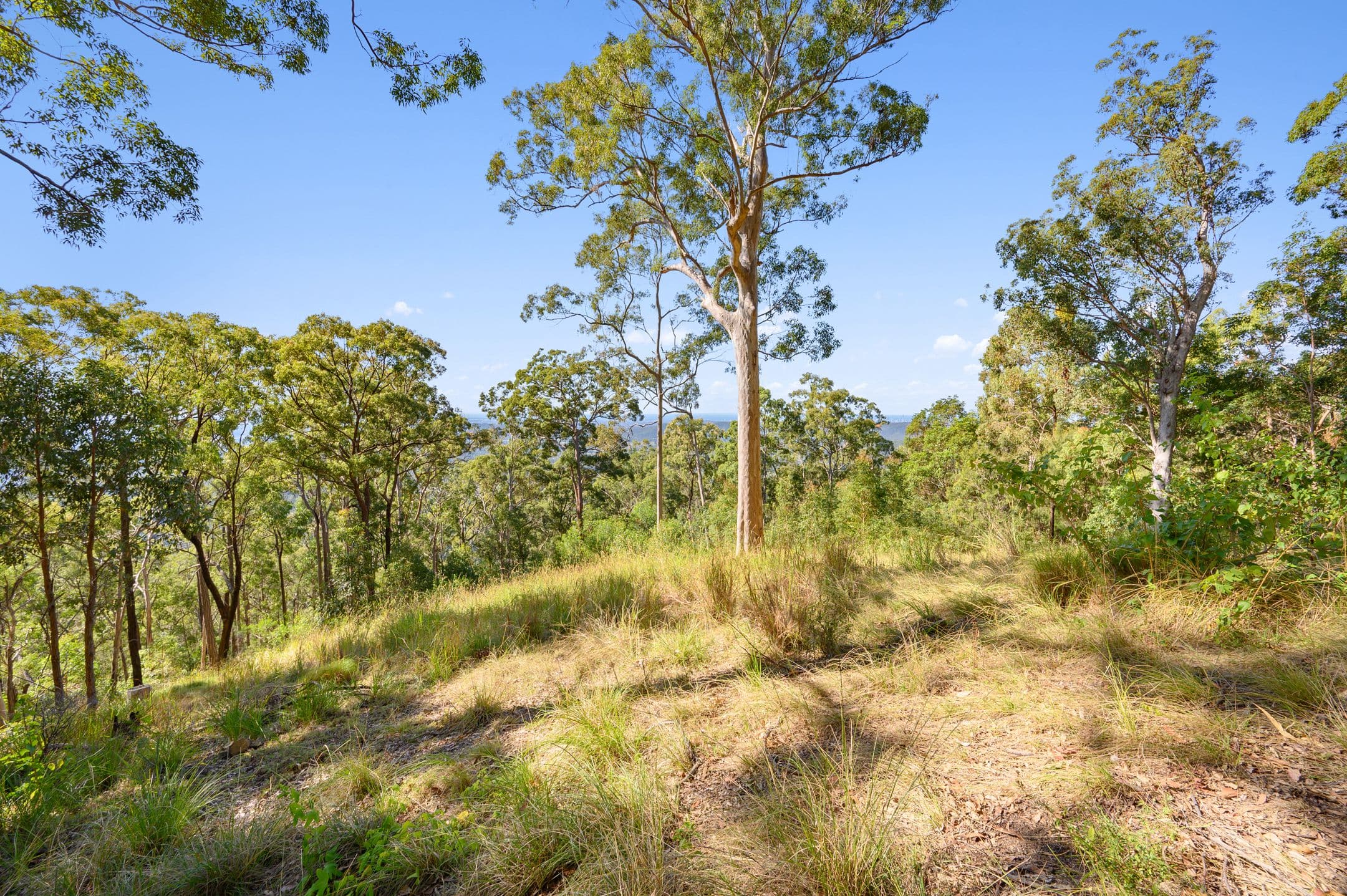 382 Henri Robert Drive, Clagiraba QLD 4211, Clagiraba - Thumbnail 3