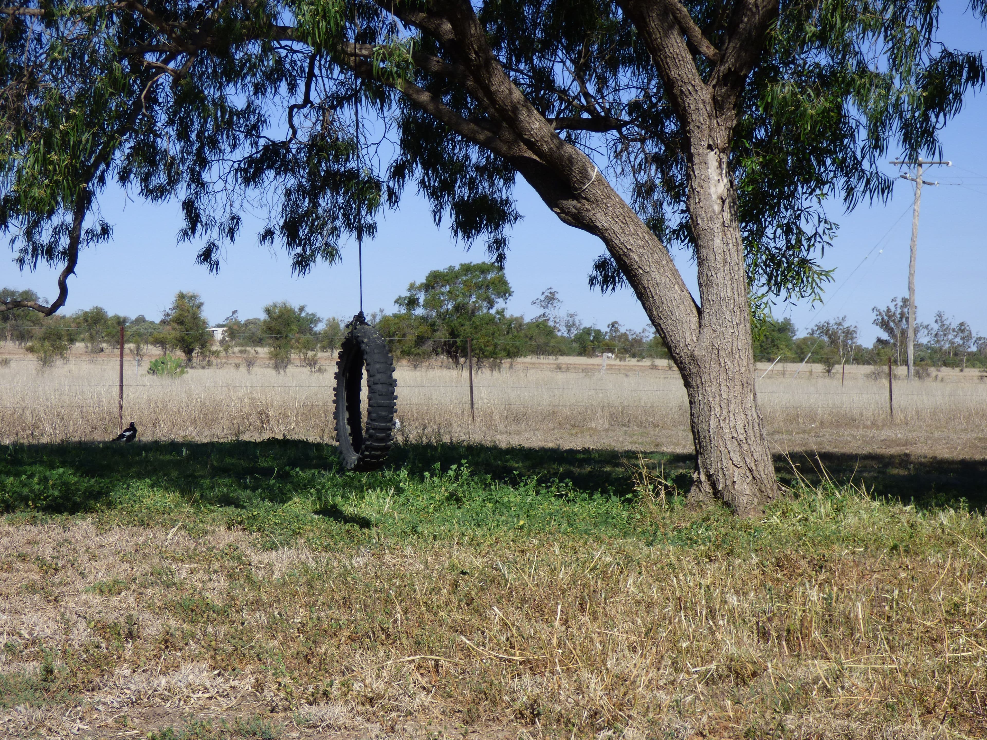 127 Clayton Road, Roma QLD 4455, Roma - Thumbnail 6