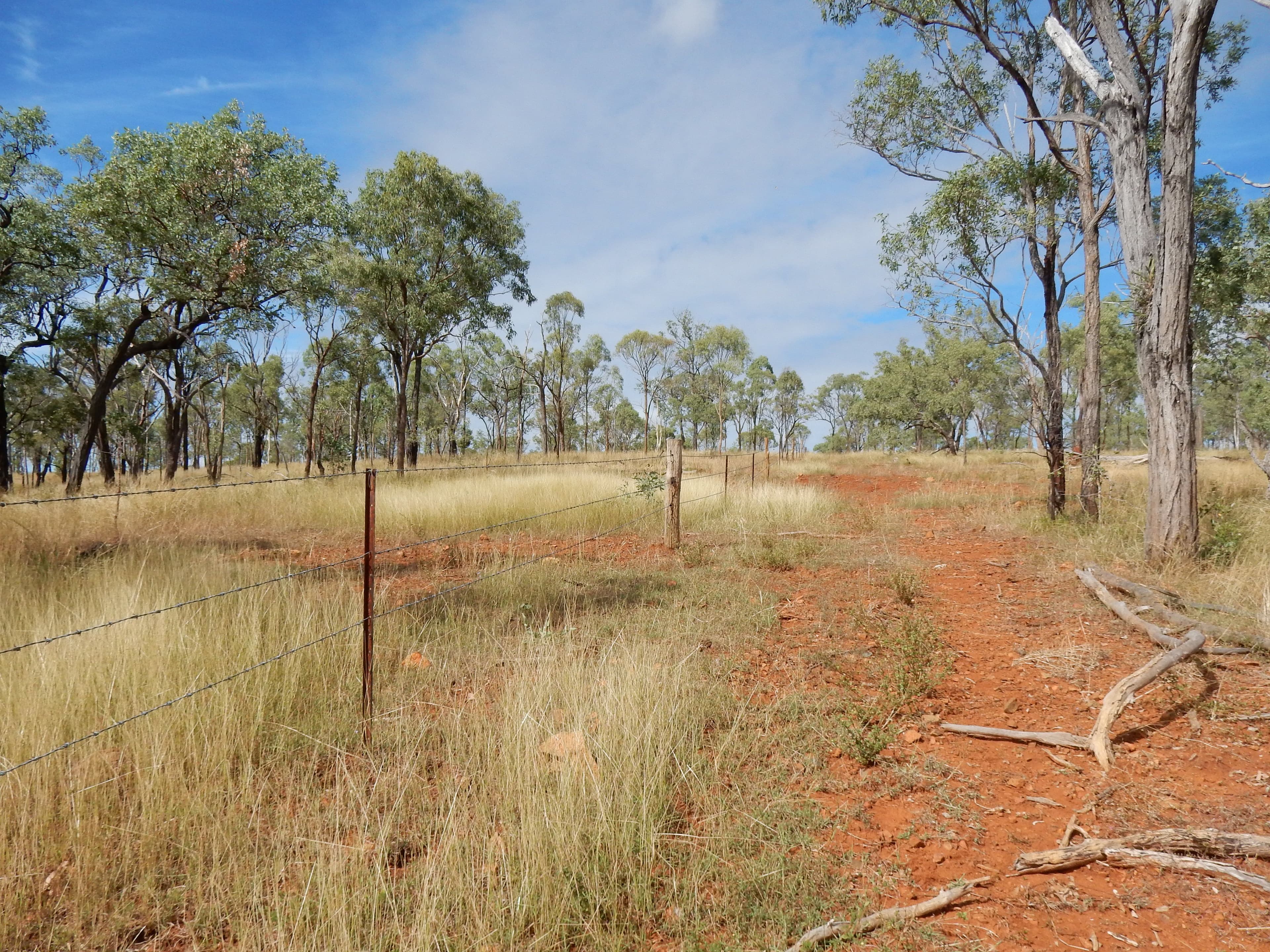 Thangool QLD 4716, Thangool - Thumbnail 8