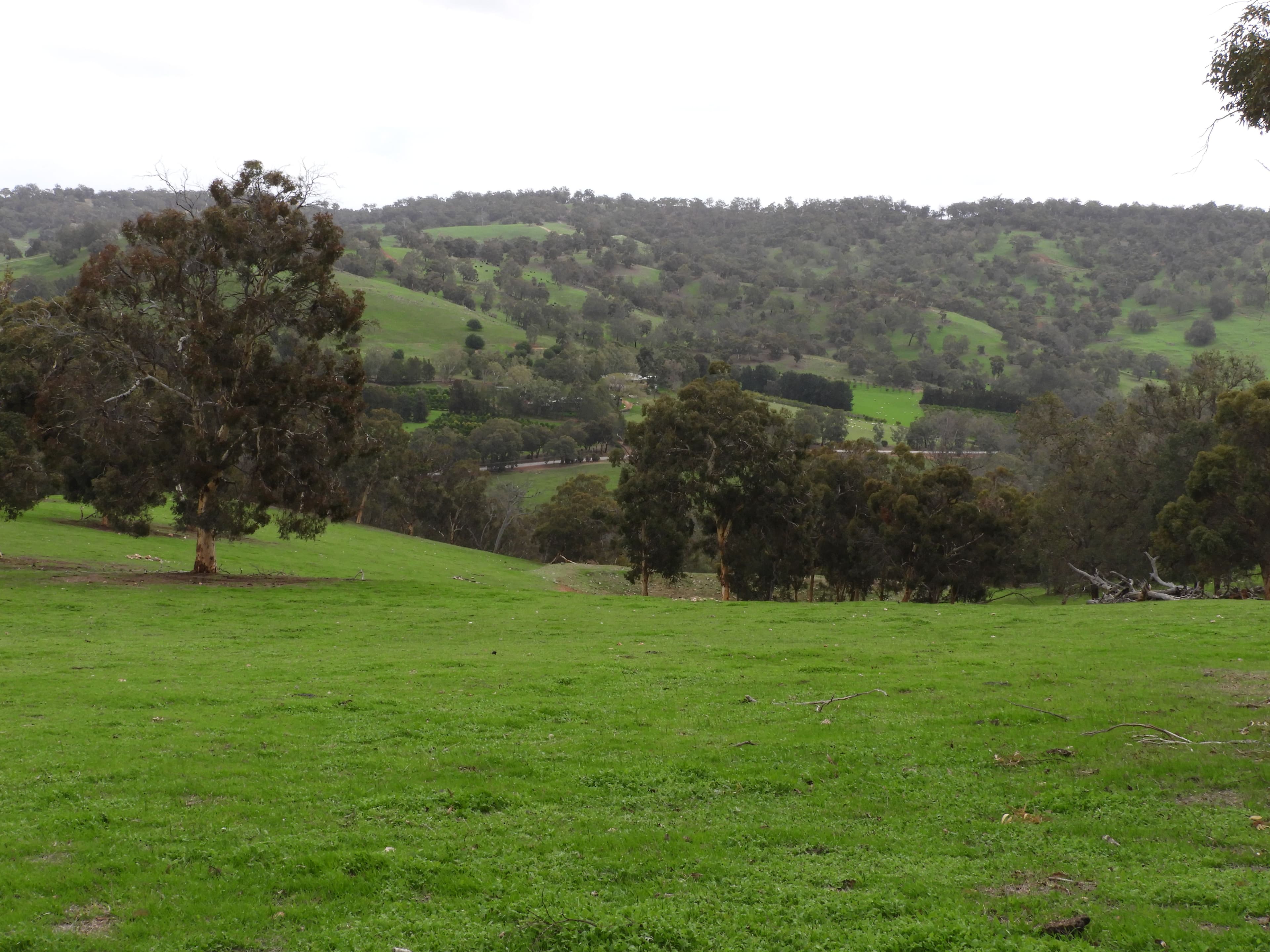 Lots 1280, 779,595,584,559,775, Lower Chittering Road, Chittering WA 6084, Chittering - Thumbnail 8