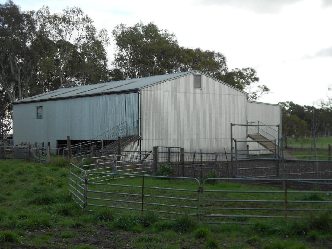 343 Cooper Road, Bordertown South SA 5268, Bordertown South - Thumbnail 4