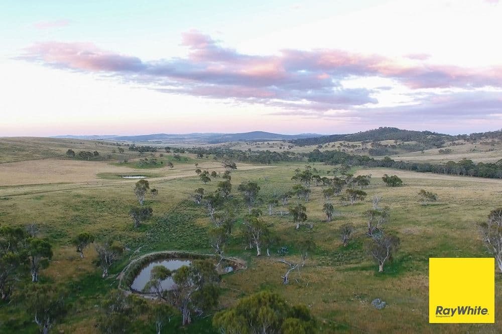 145 Butmaroo Road, Bungendore NSW 2621, Bungendore - Thumbnail 8