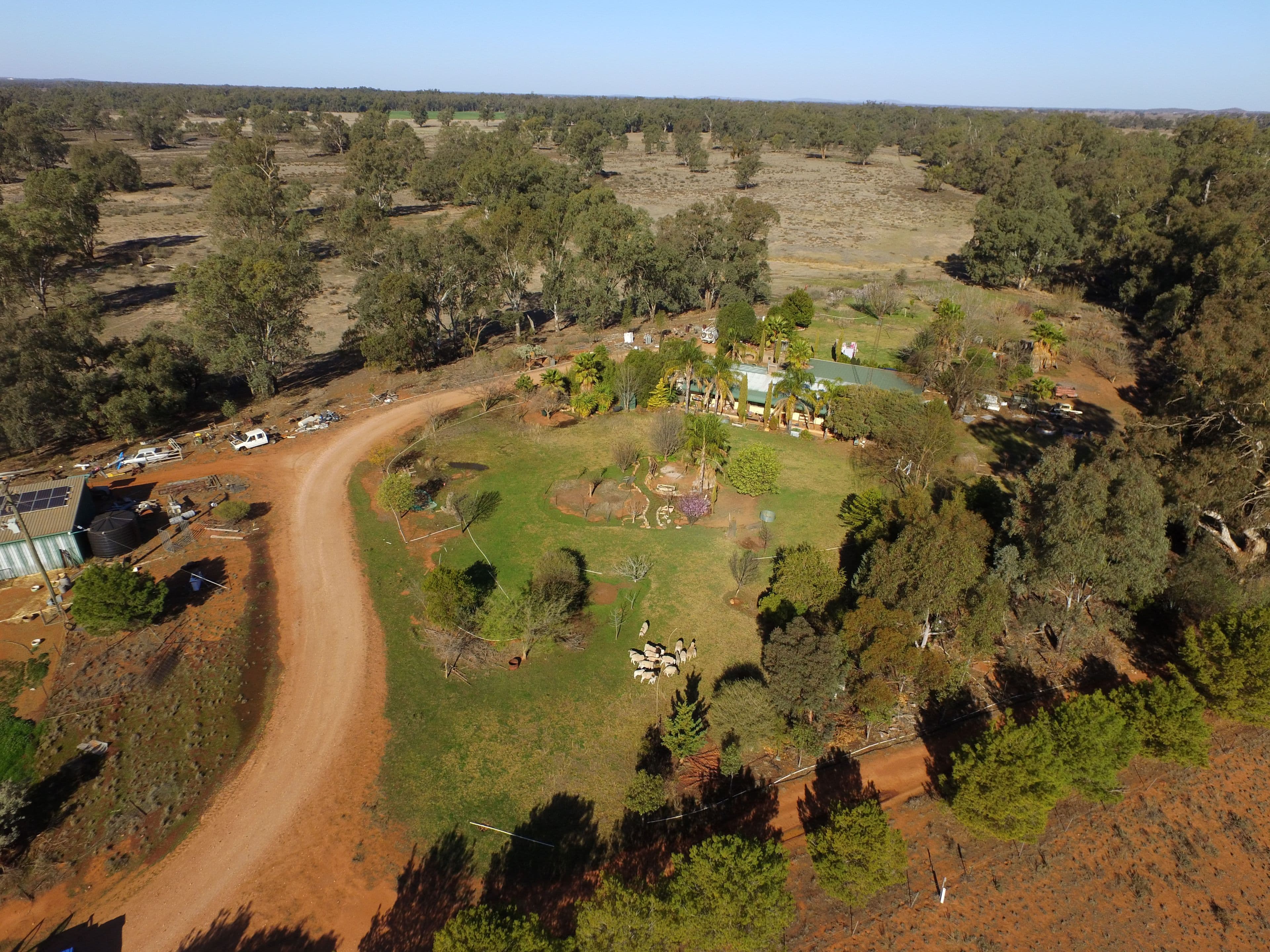 Ammiti Kiacatoo Road, Condobolin NSW 2877, Condobolin - Image 1