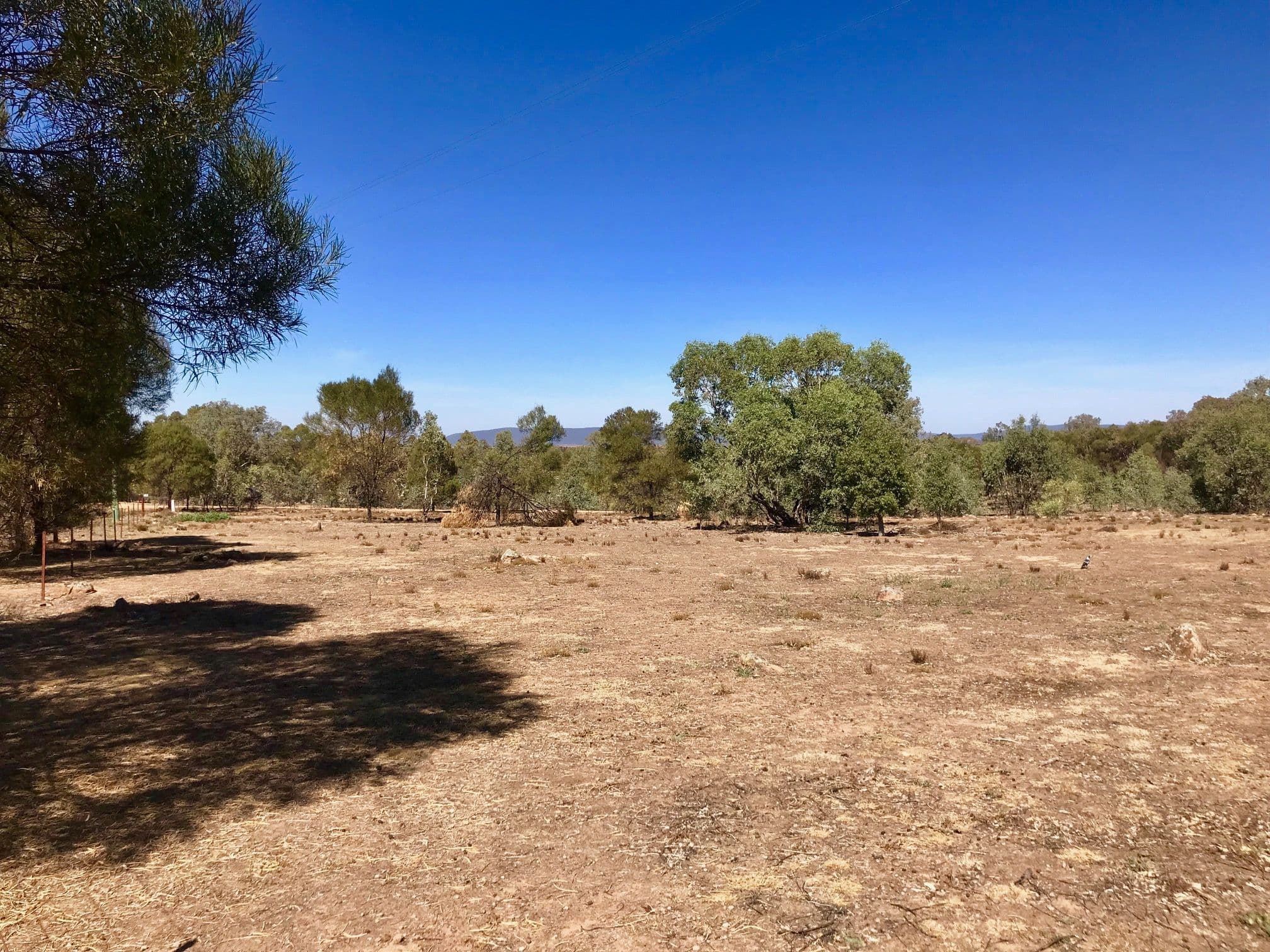 Lot 10 Simpson Drive, Grenfell NSW 2810, Grenfell - Thumbnail 7