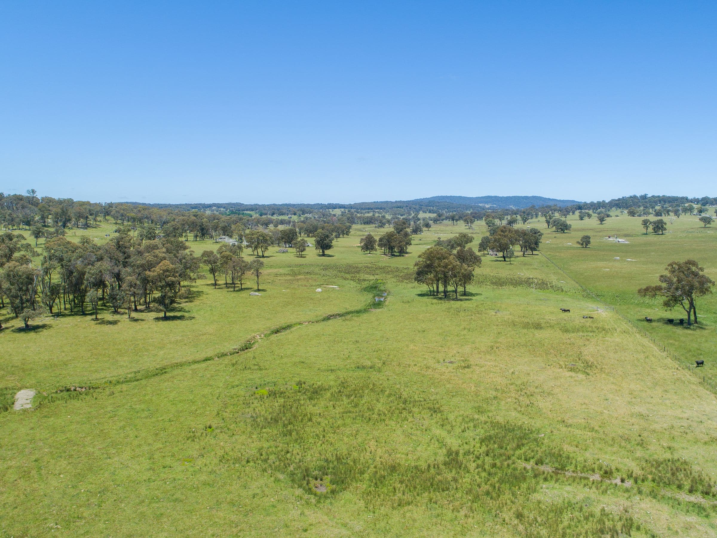 286 Mount Mitchell Road, Guyra NSW 2365, Guyra - Thumbnail 7