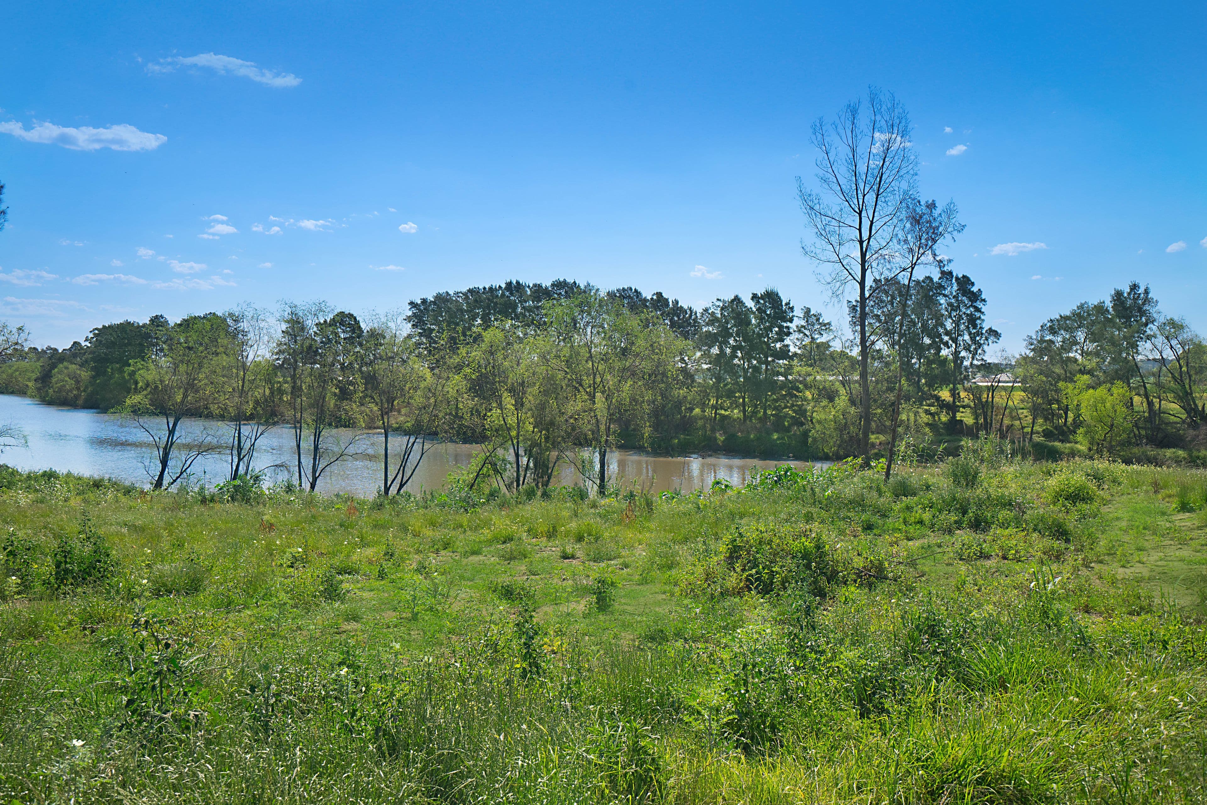 68 Mckimms Road, Largs - Thumbnail 5