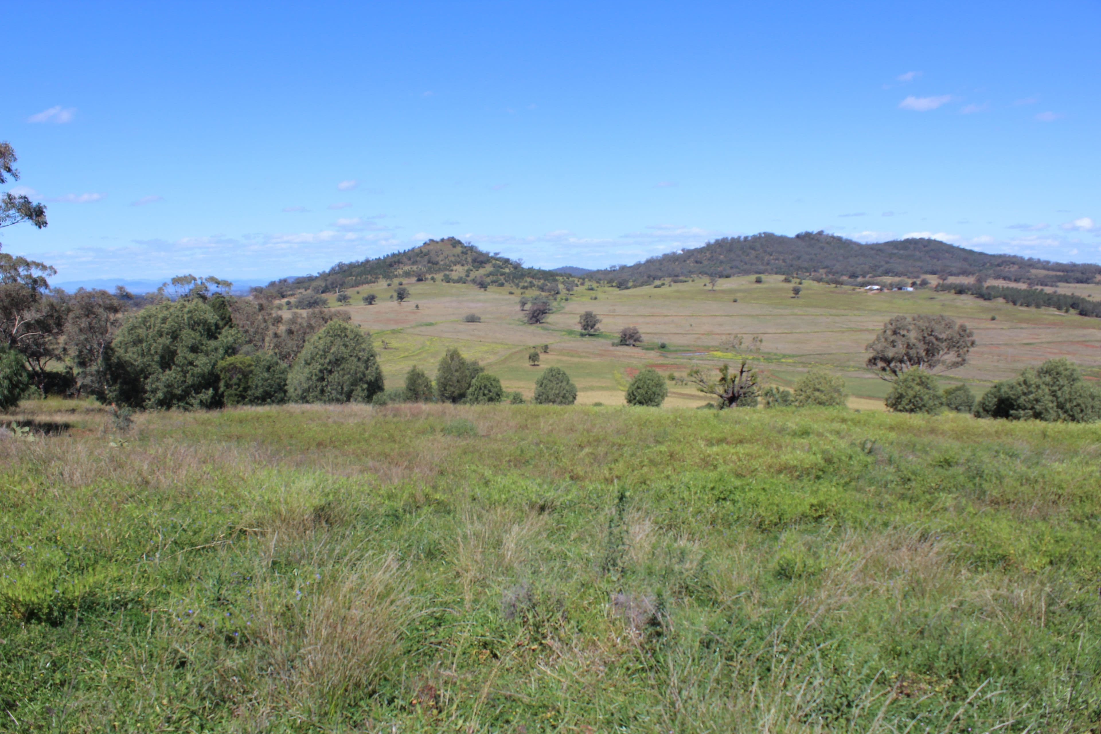1633 Wandobah Road, Gunnedah NSW 2380, Gunnedah - Thumbnail 8