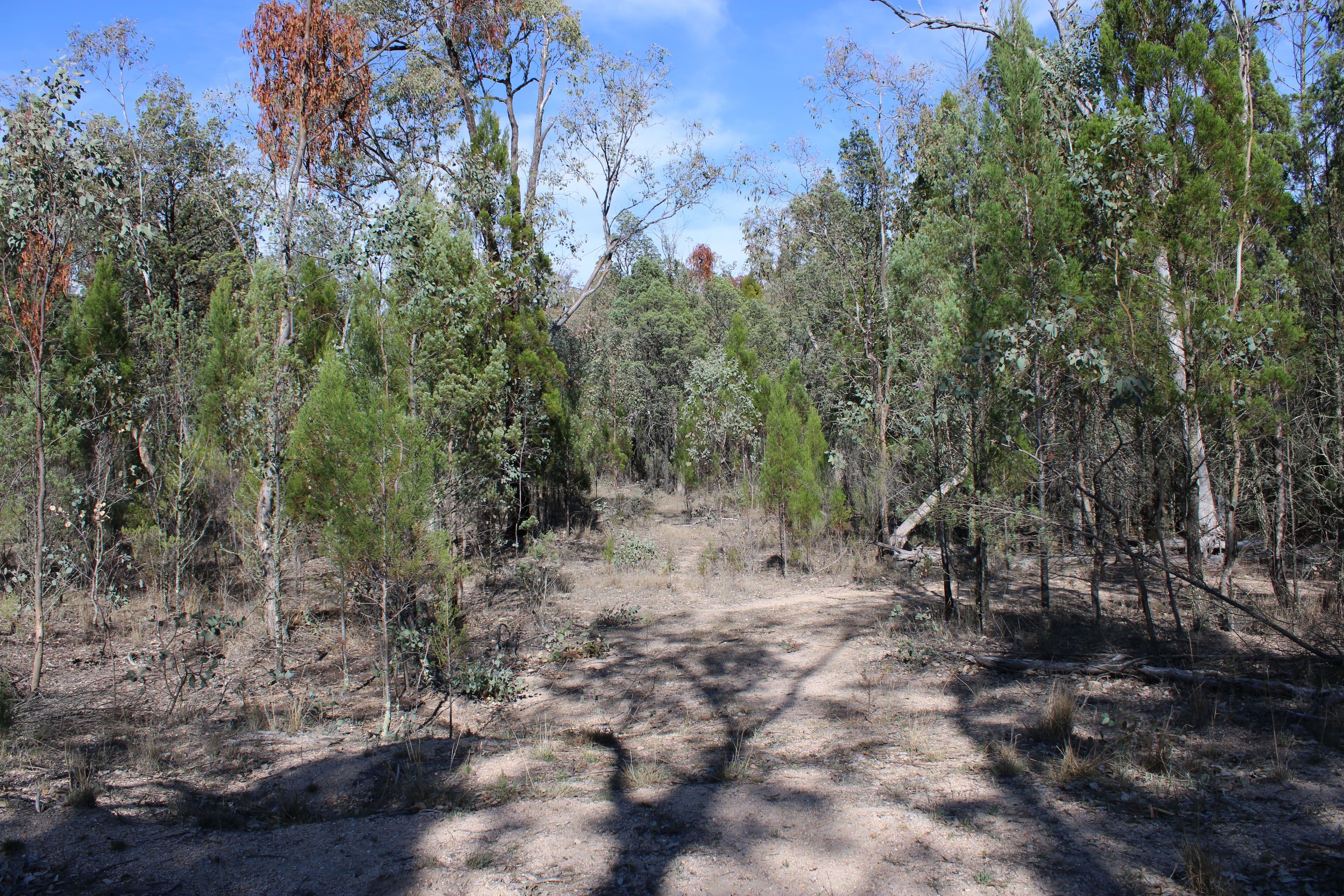 Inverell NSW 2360, Inverell - Thumbnail 7