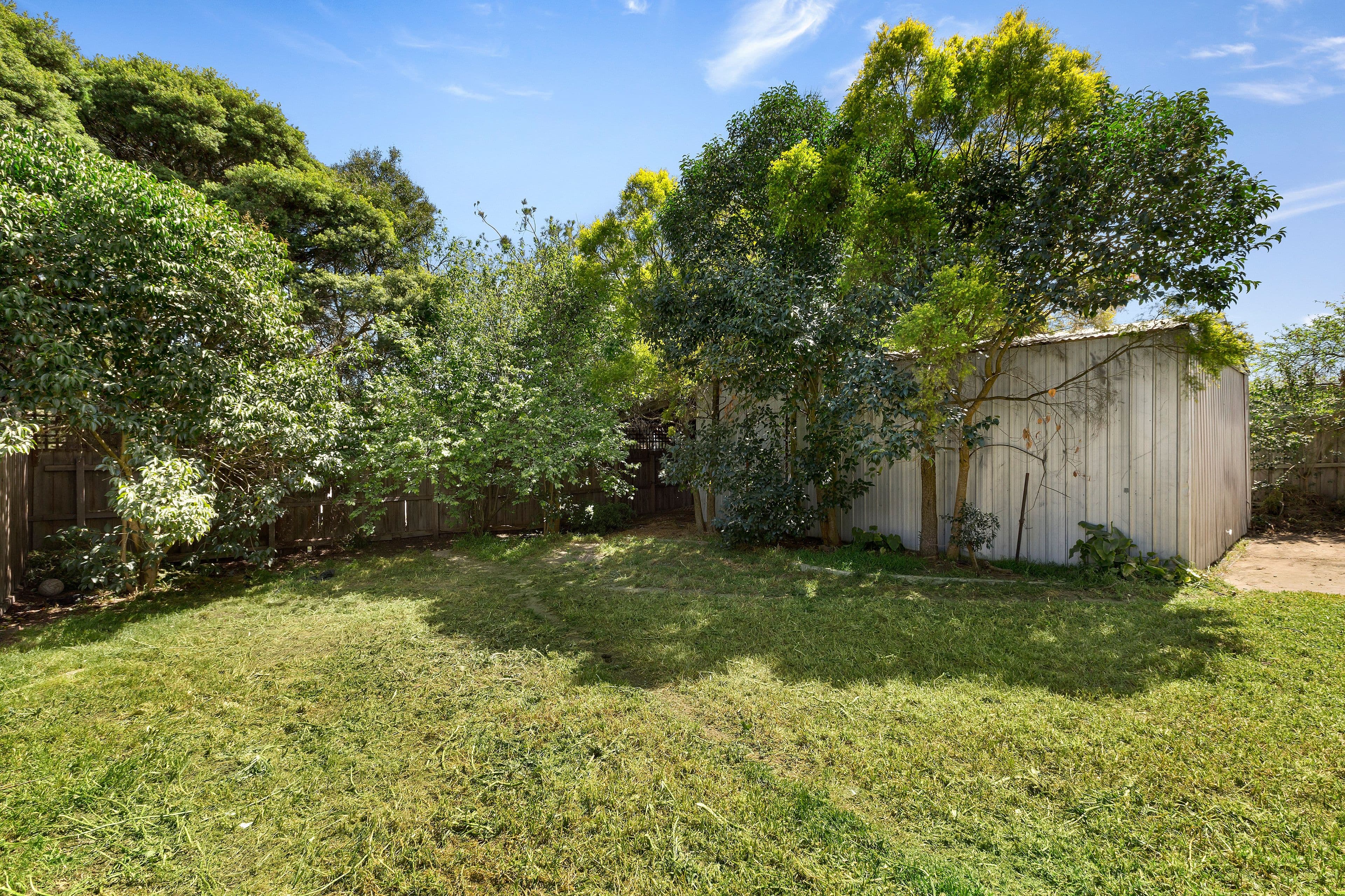 55 Hawtin Street, Templestowe VIC 3106, Templestowe - Thumbnail 5