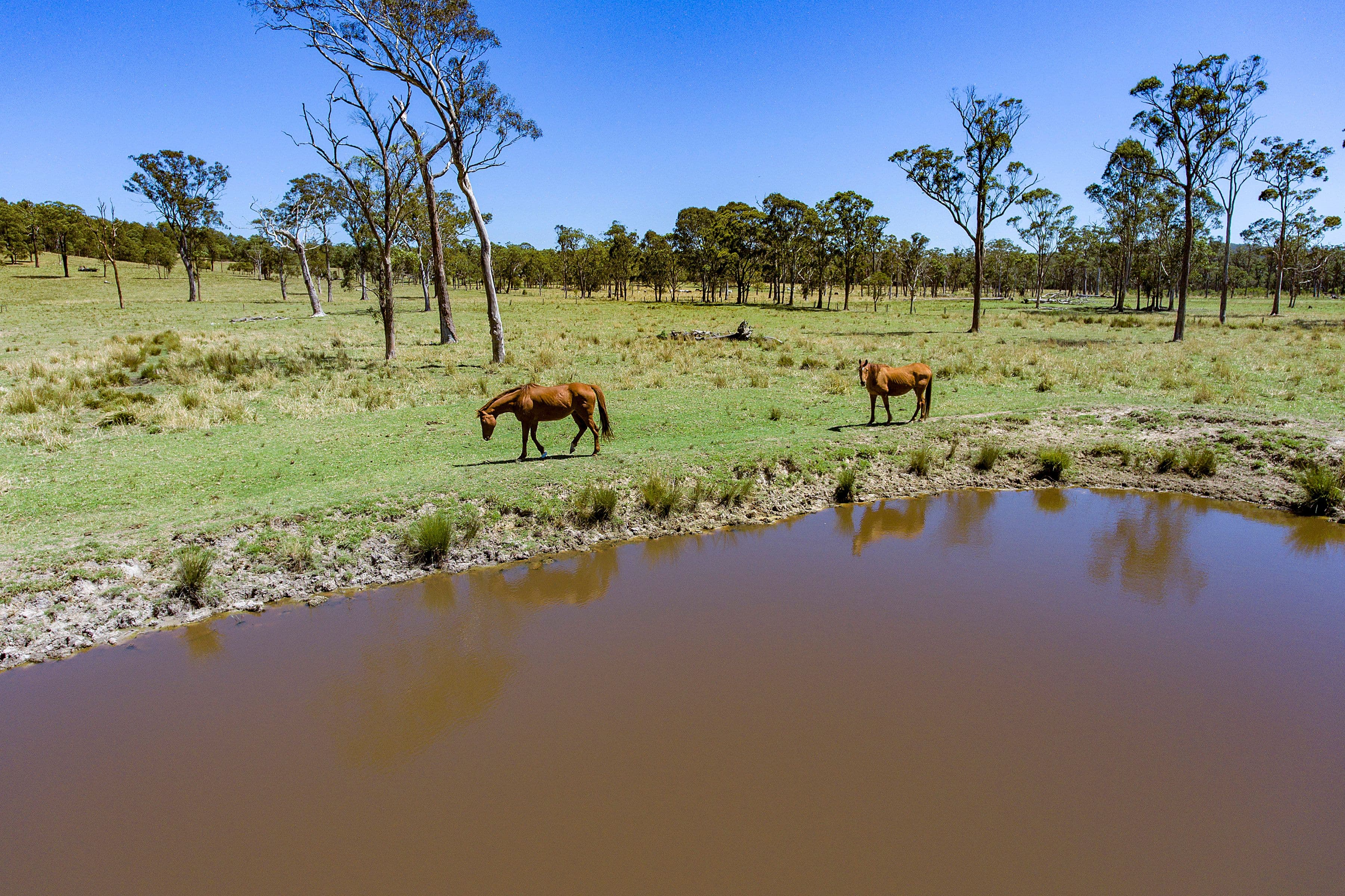 230 Crooks Road, Mandalong NSW 2264, Mandalong - Thumbnail 7