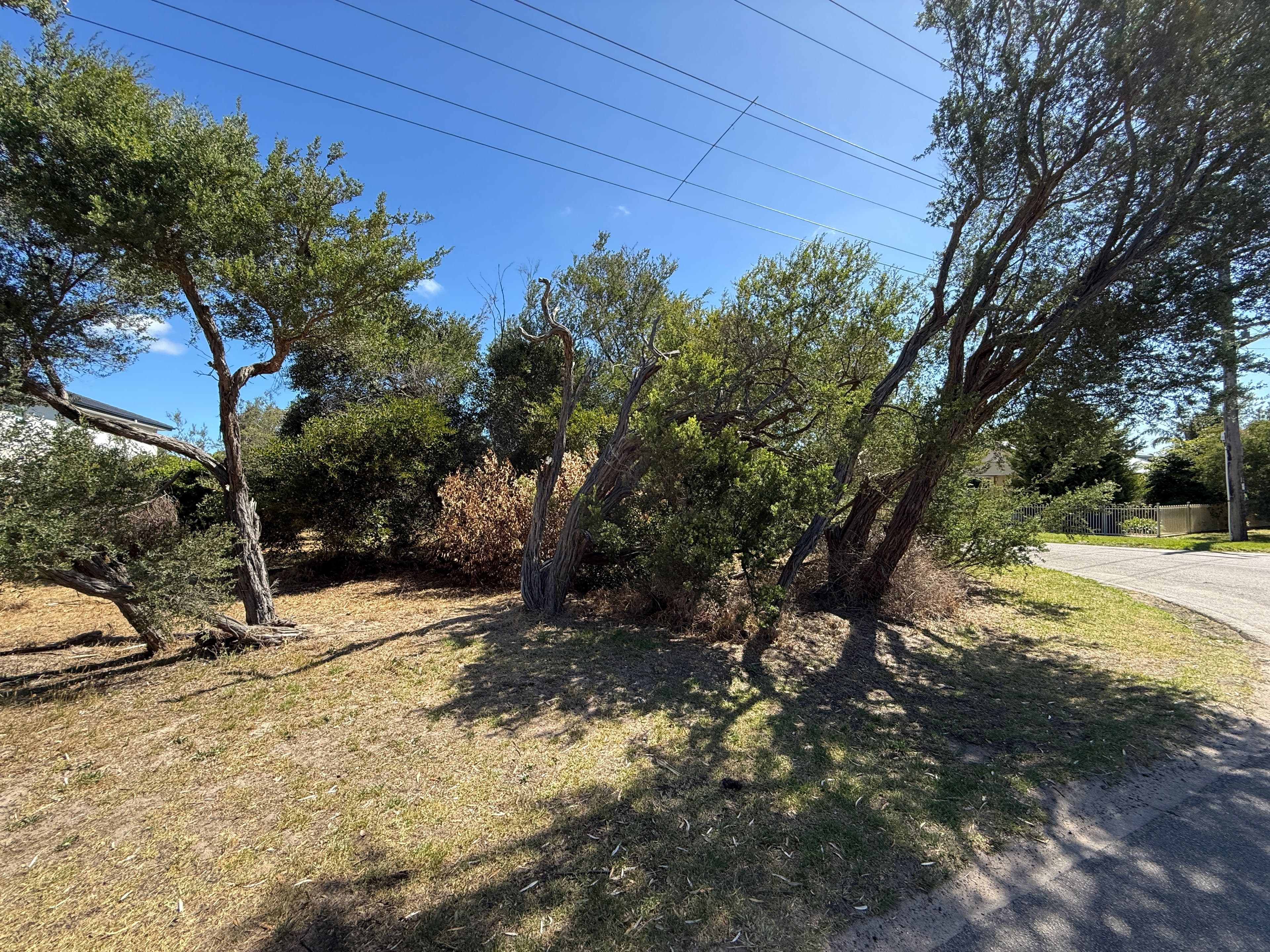 105 Swans Way, Capel Sound VIC 3940, Capel Sound - Thumbnail 3