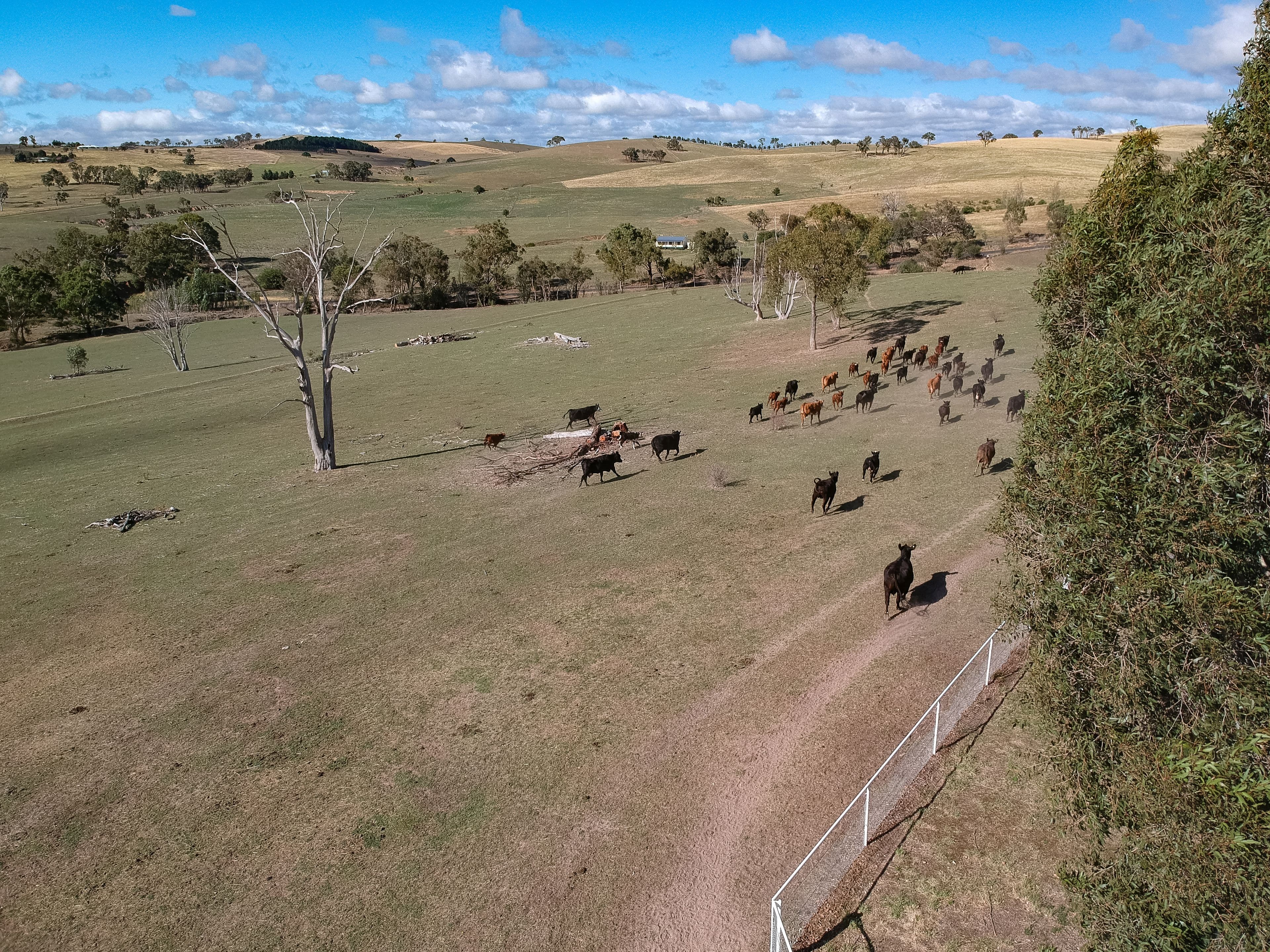 370 Bloom Hill Road, O'Connell NSW 2795, O'Connell - Thumbnail 6