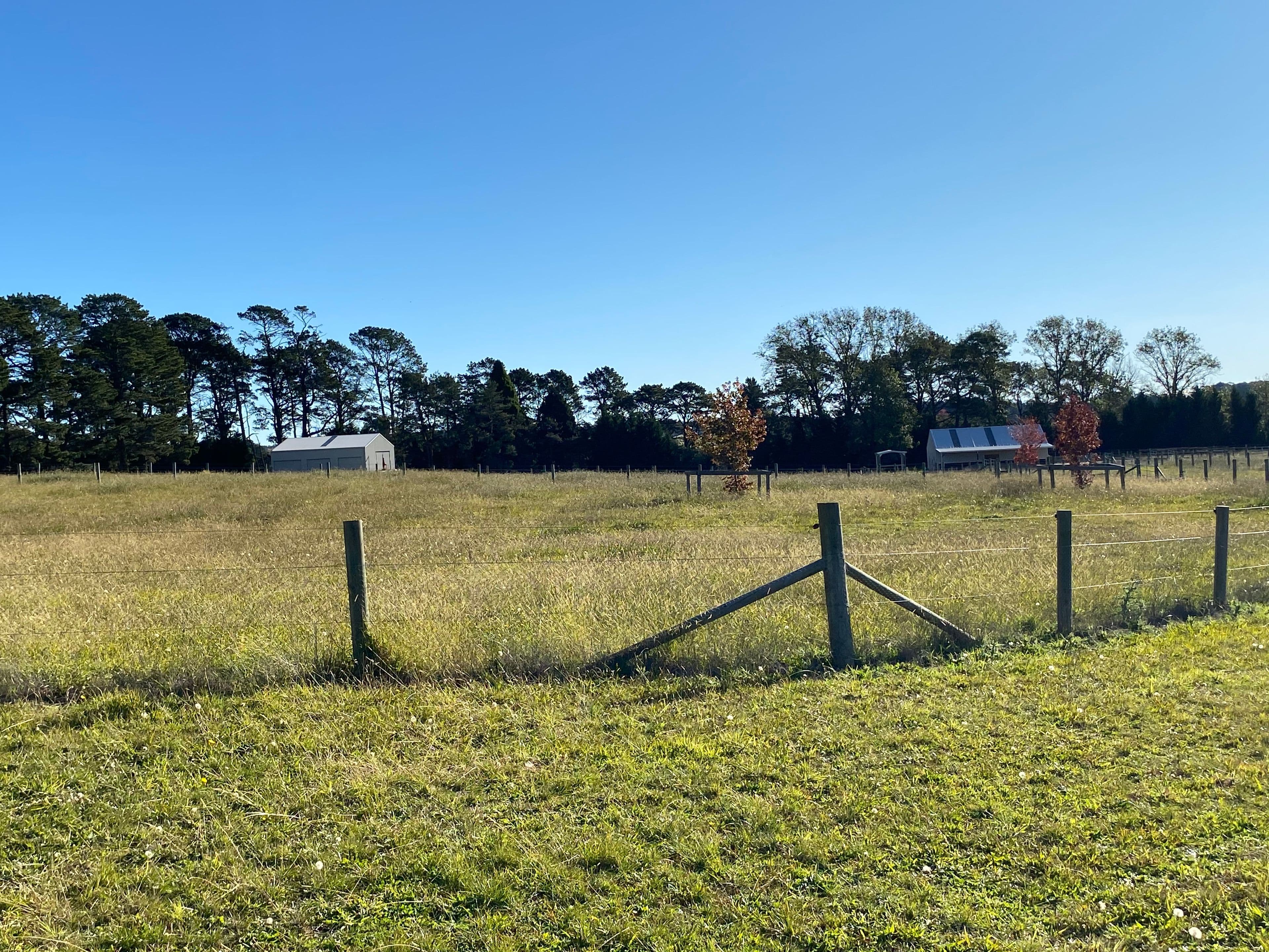236 Bundanoon Road, Exeter NSW 2579, Exeter - Thumbnail 7
