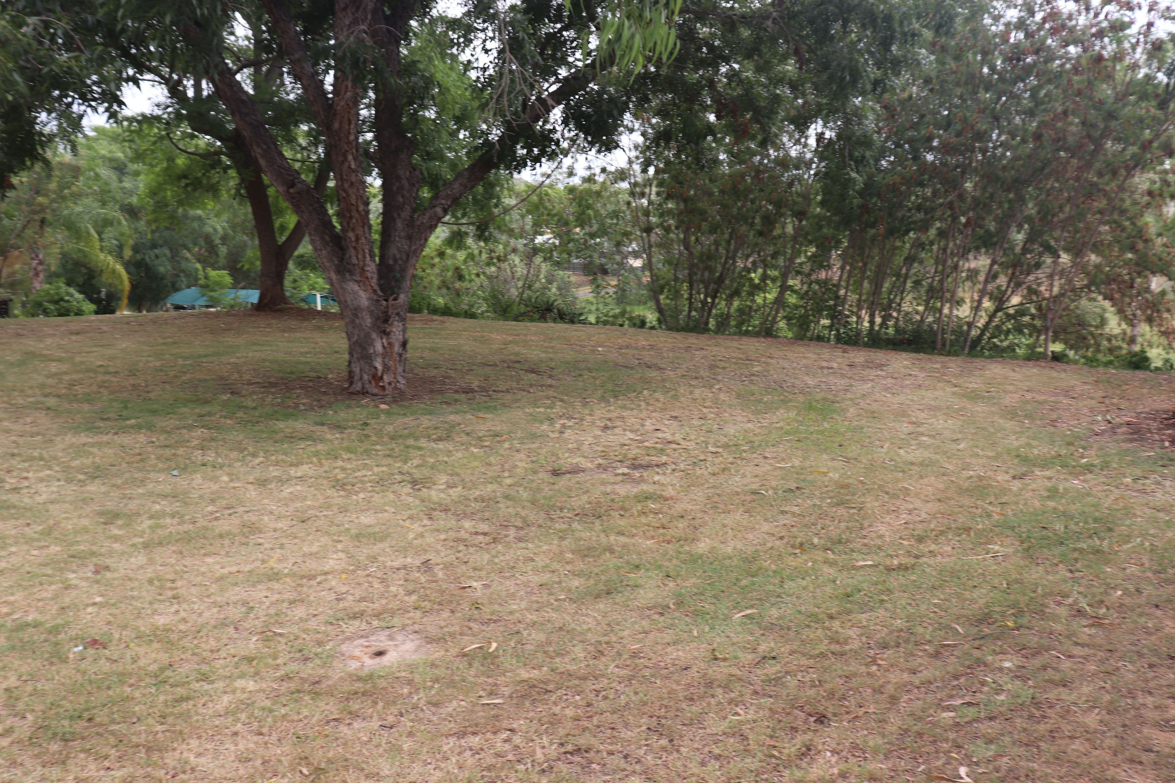 22 Mahoney Street, Mundubbera QLD 4626, Mundubbera - Thumbnail 8