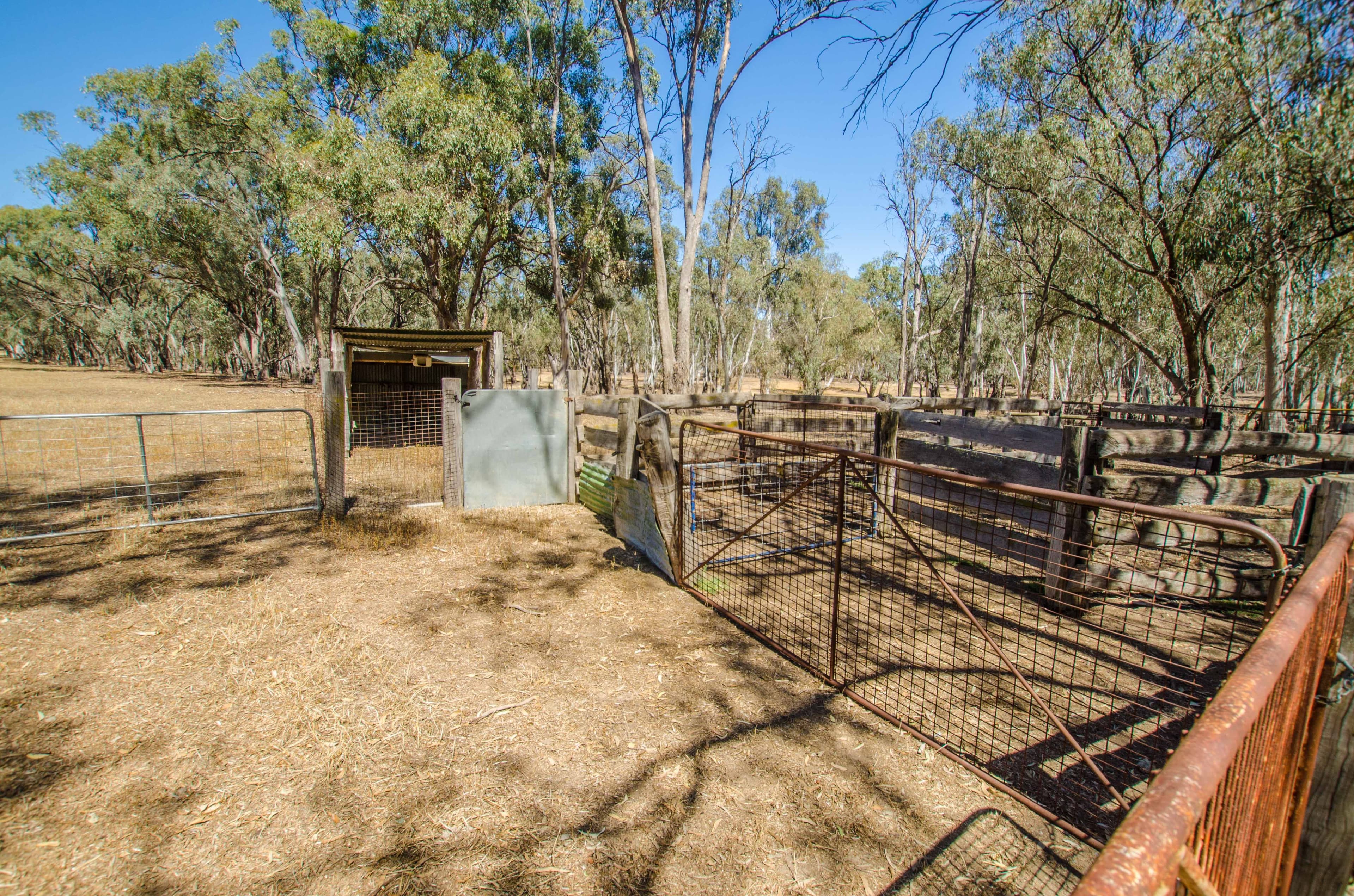 00 McKee Road, Echuca Village VIC 3564, Echuca Village - Thumbnail 3