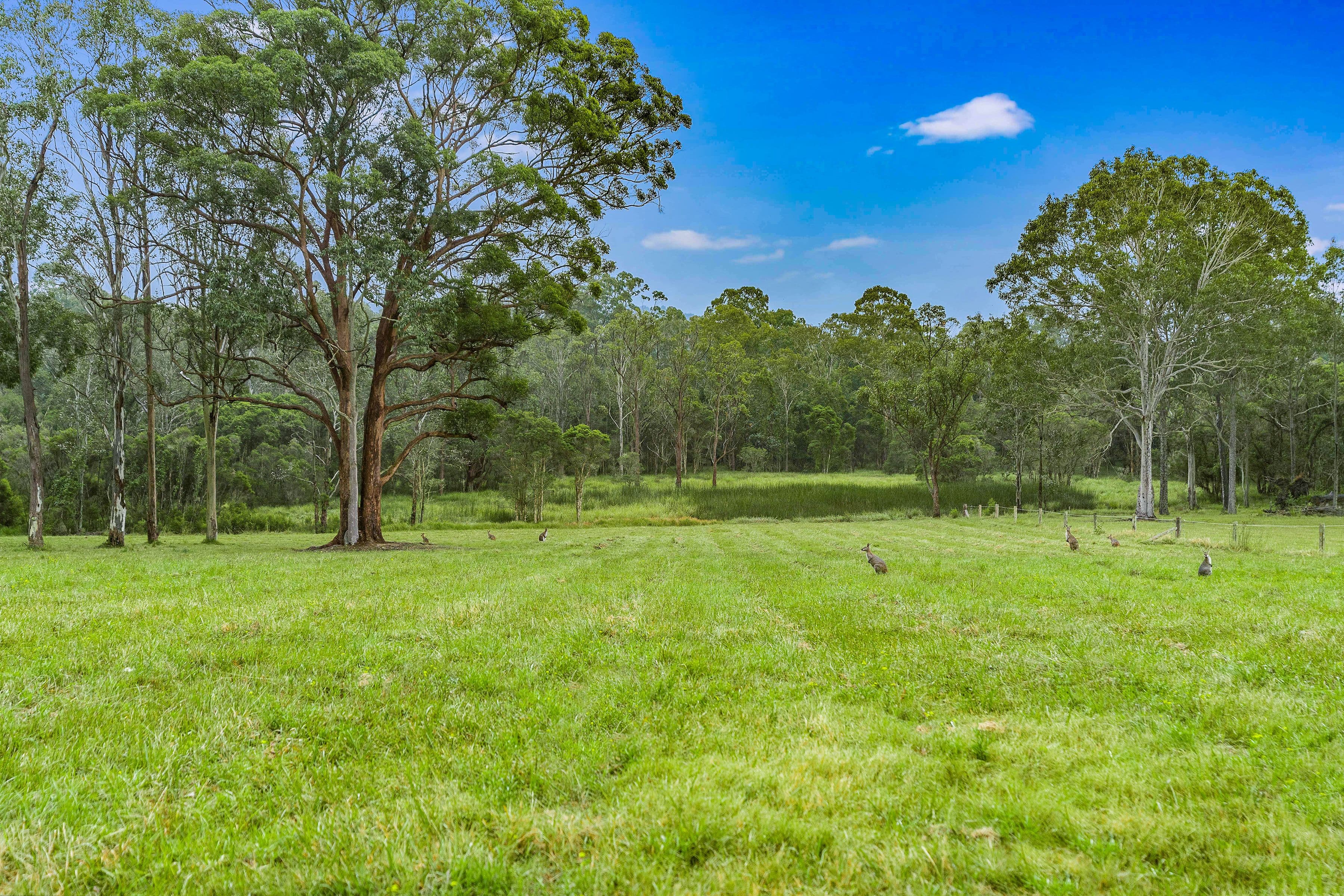 68 Browns Road, Mandalong NSW 2264, Mandalong - Thumbnail 3