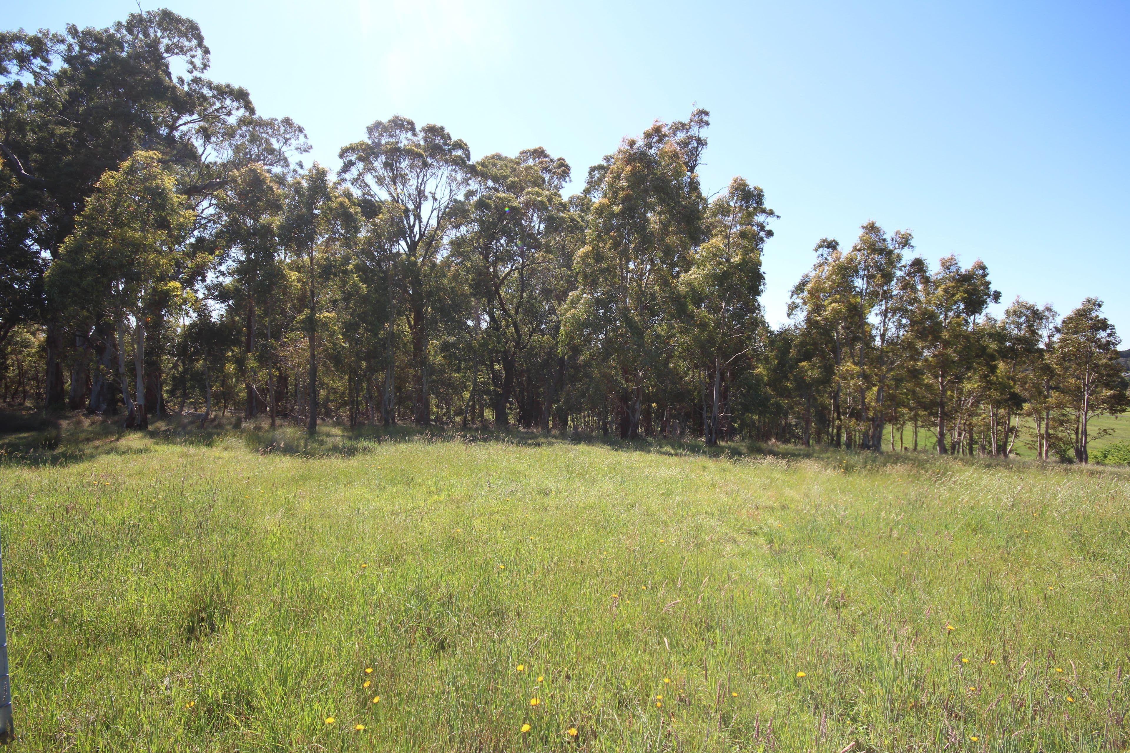 31 Marks Crescent, Oberon NSW 2787, Oberon - Thumbnail 2
