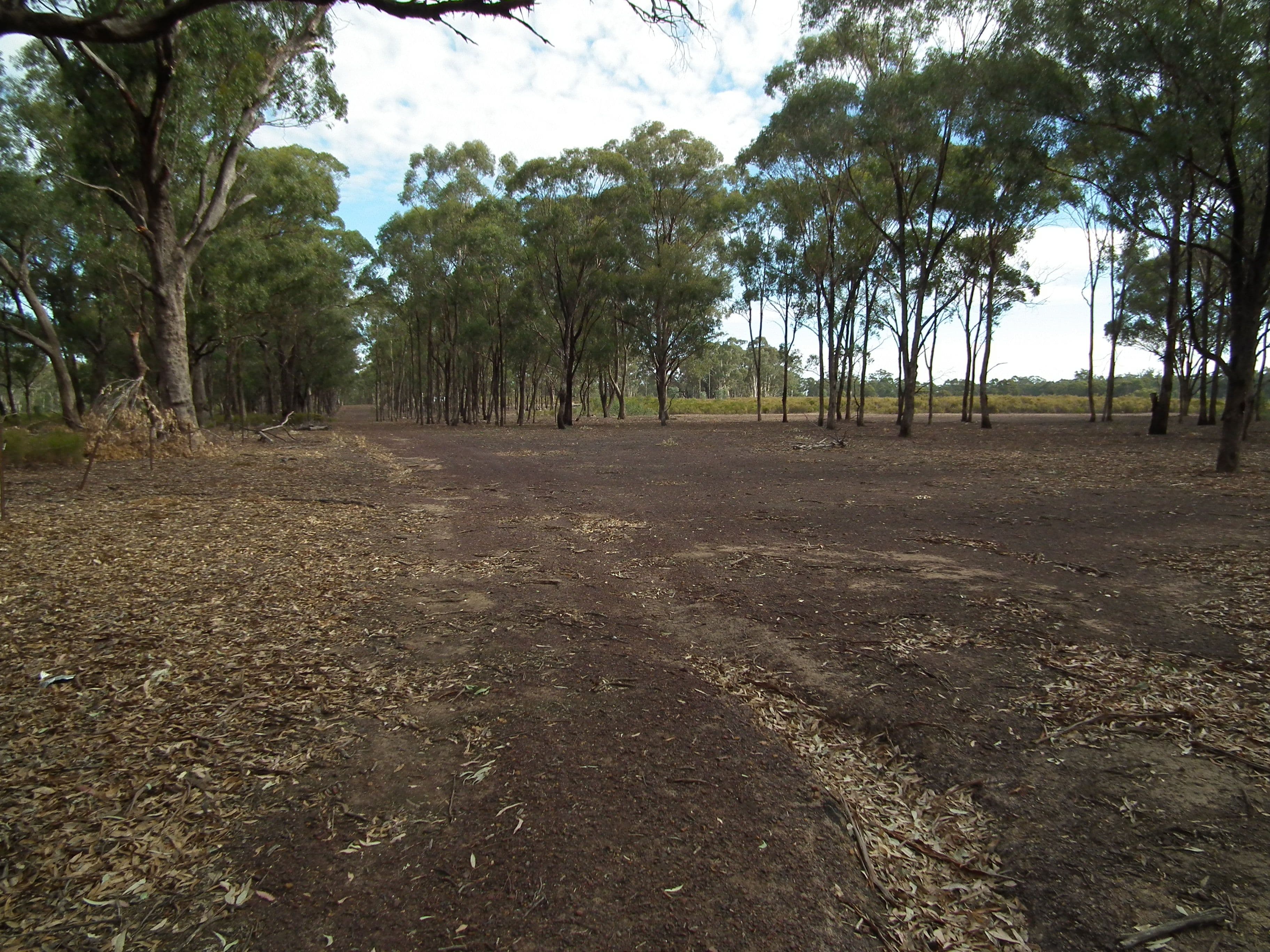 419 Buffalo Swamp Road, Whroo VIC 3612, Whroo - Thumbnail 2