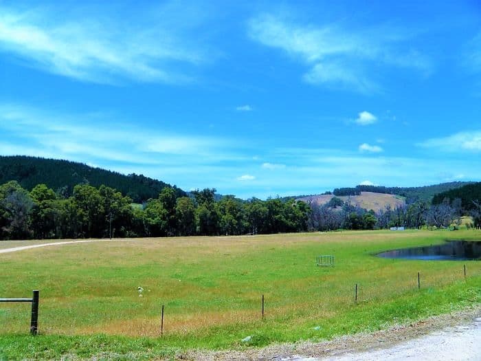 Lot 84 Balingup Nannup Road, Nannup WA 6275, Nannup - Thumbnail 2