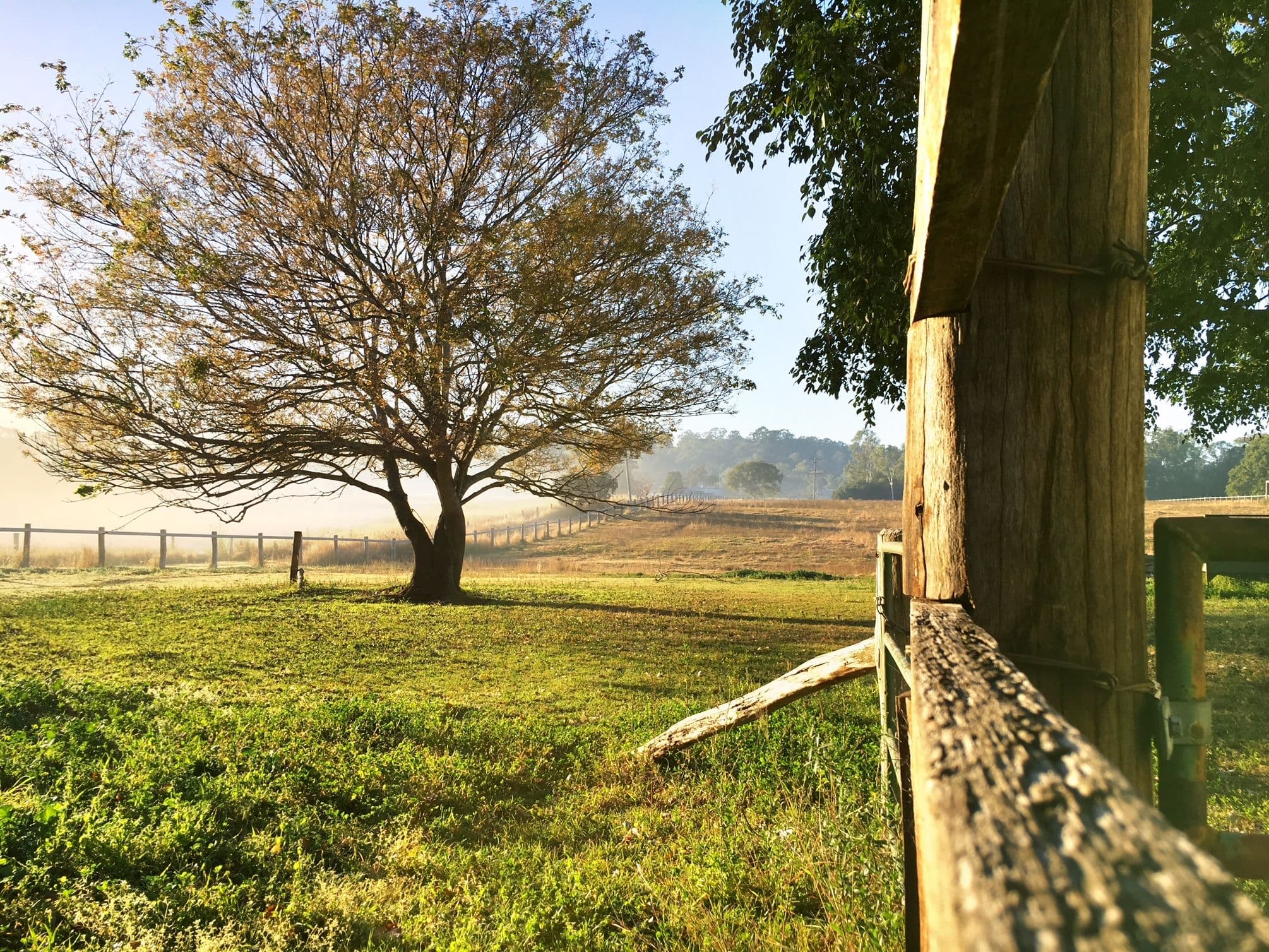 142 Fielding Road, Vernor QLD 4306, Vernor - Thumbnail 4