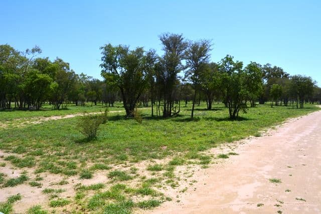 Lot 3 Frames Lane, Blackall QLD 4472, Blackall - Thumbnail 3