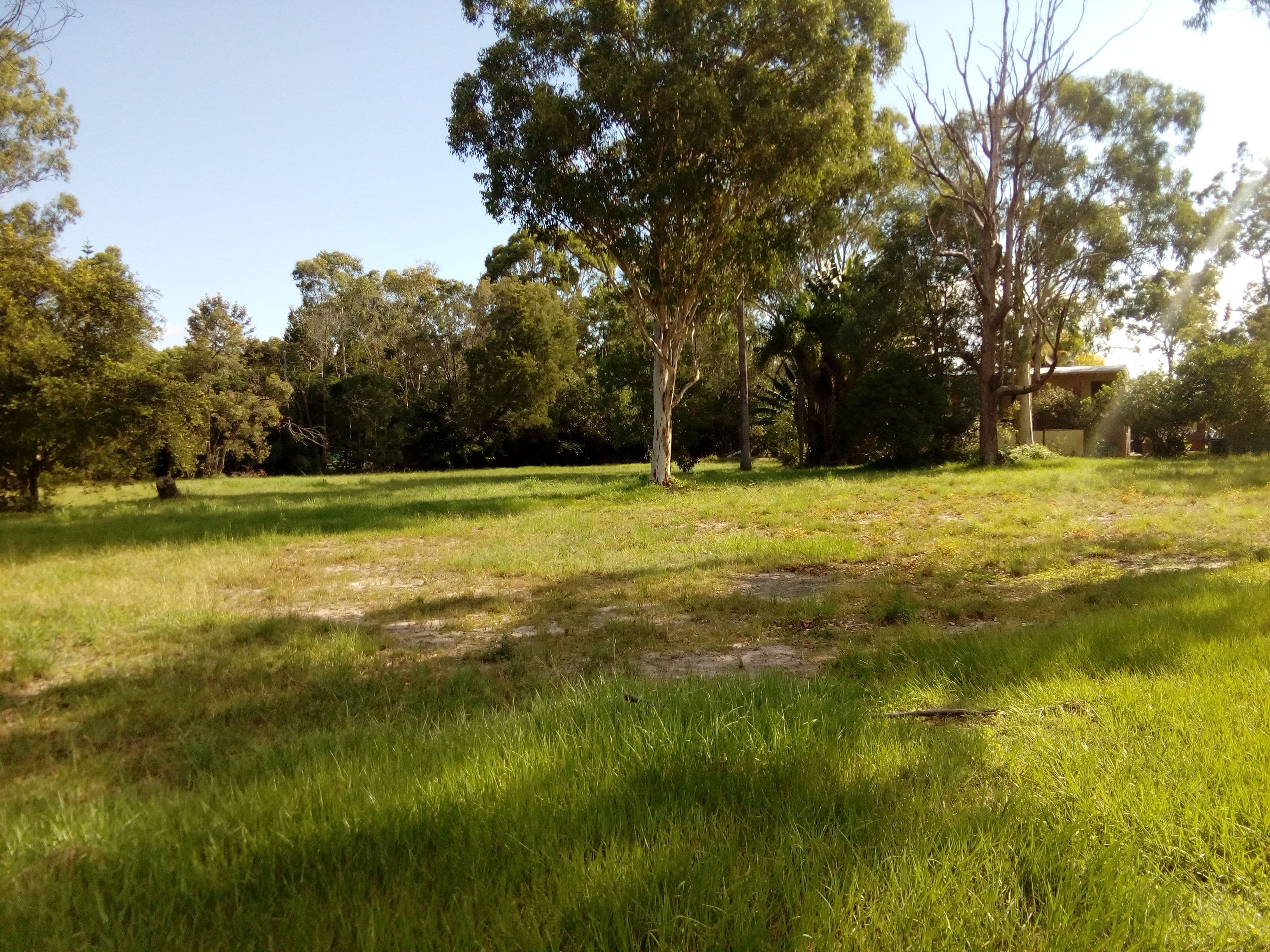 49-55 Fairmount Street, Elimbah QLD 4516, Elimbah - Thumbnail 4