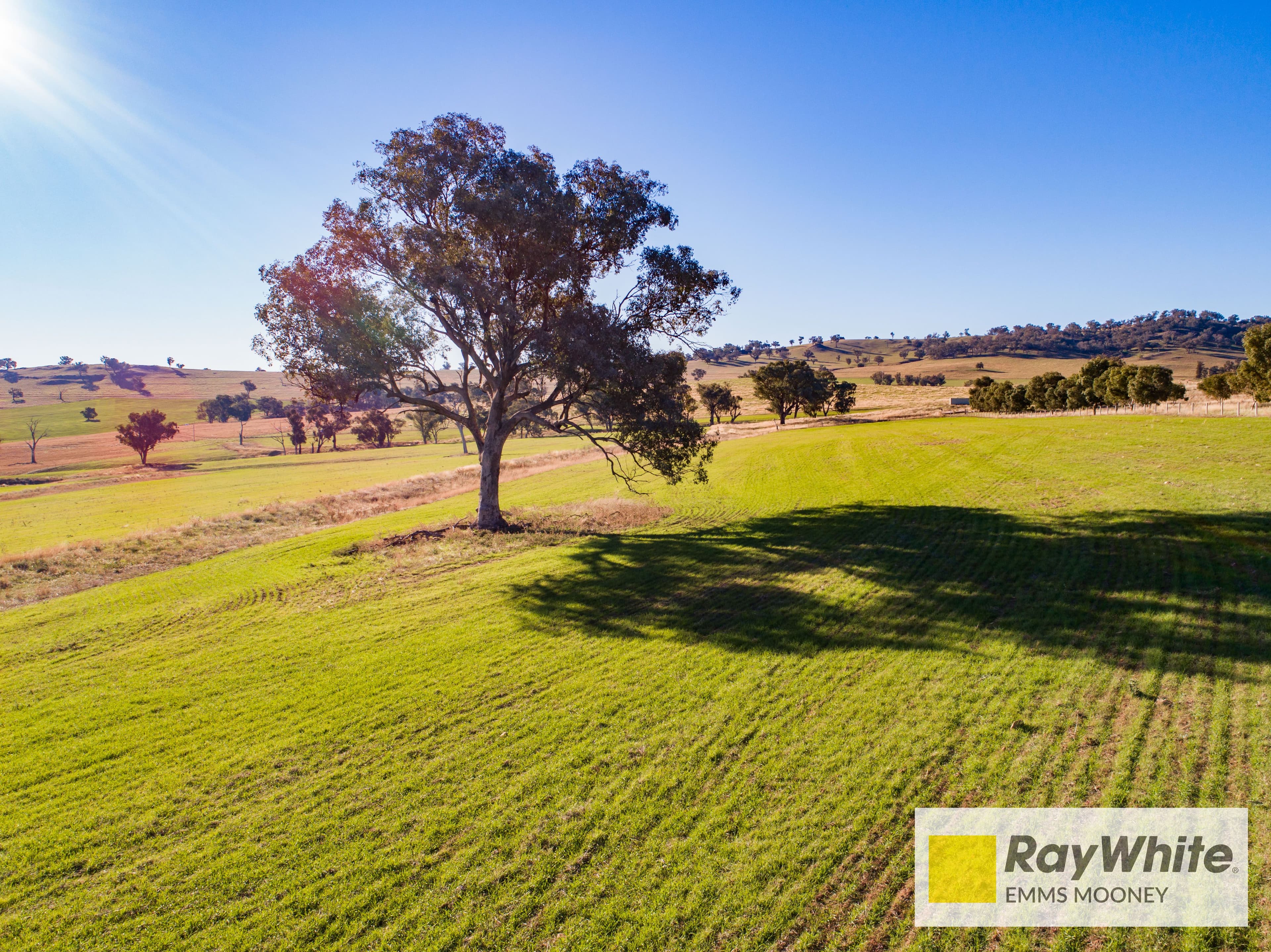 855B Darbys Falls Road, Cowra NSW 2794, Cowra - Thumbnail 4