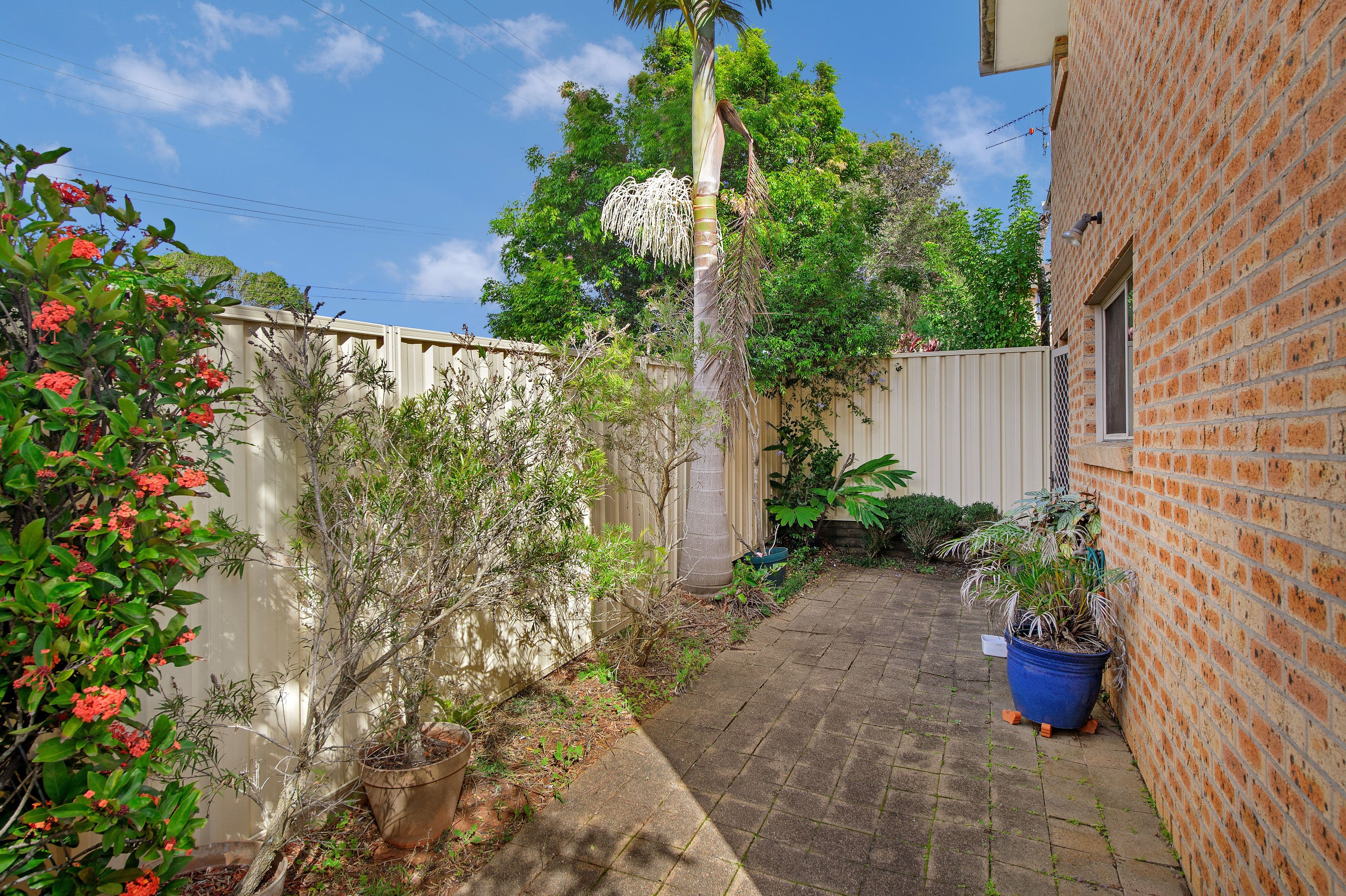 75 Hill Street, Port Macquarie NSW 2444, Port Macquarie - Thumbnail 8