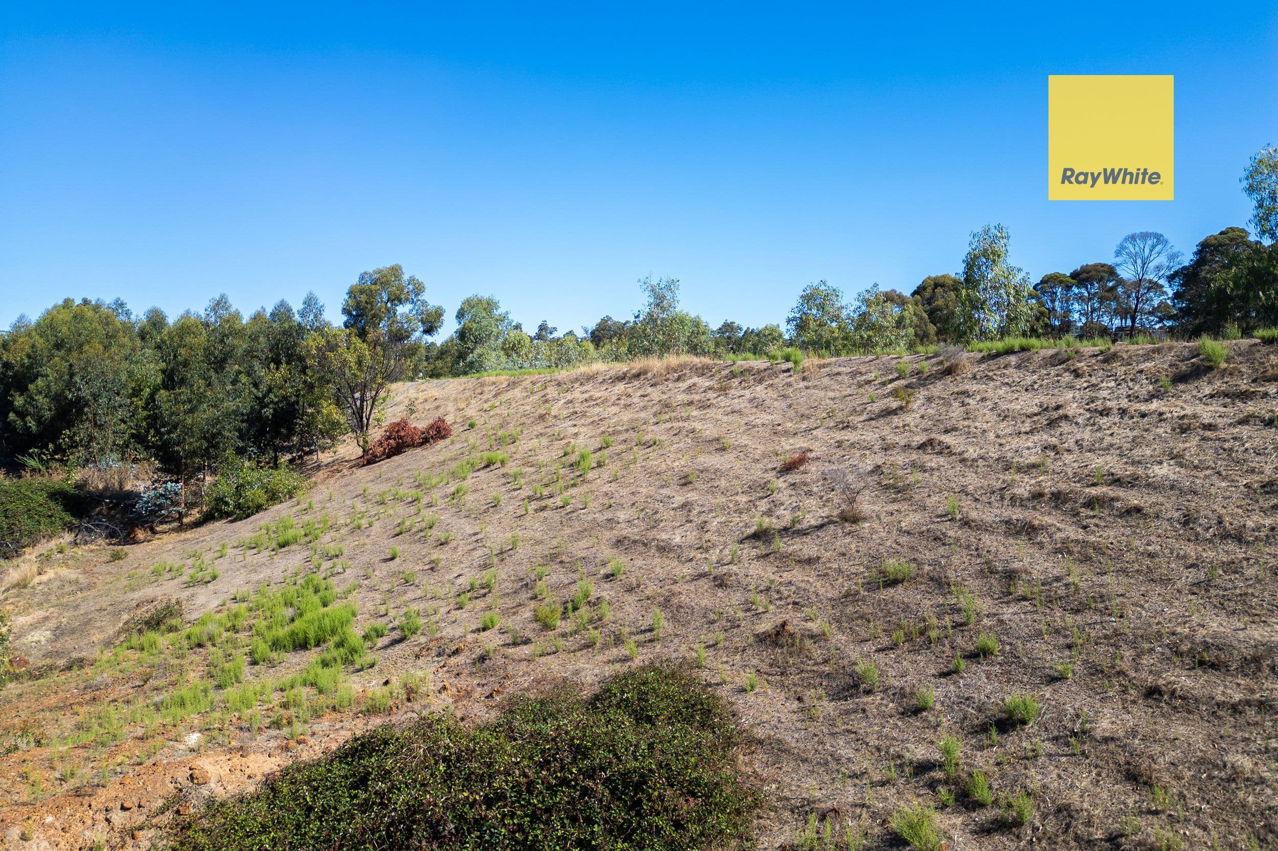Lot 6 Greenbushes-Grimwade Road, North Greenbushes WA 6254, North Greenbushes - Thumbnail 6
