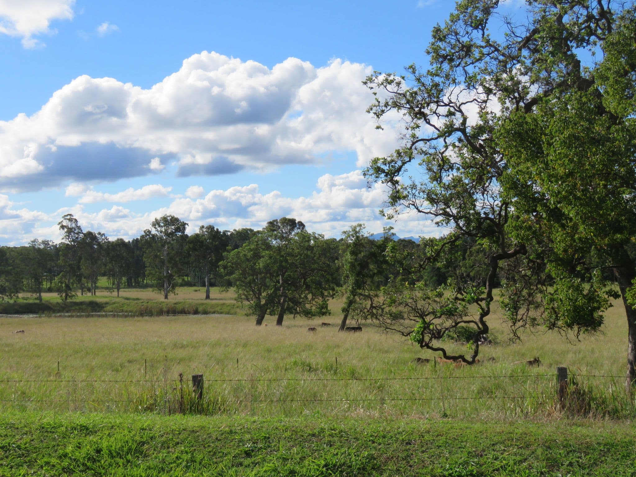 134 Fredericks Road, Caniaba NSW 2480, Caniaba - Thumbnail 4