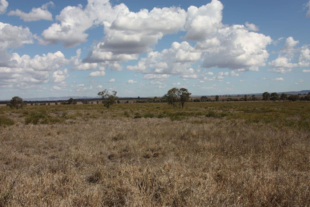 Jambin QLD 4702, Jambin - Thumbnail 4