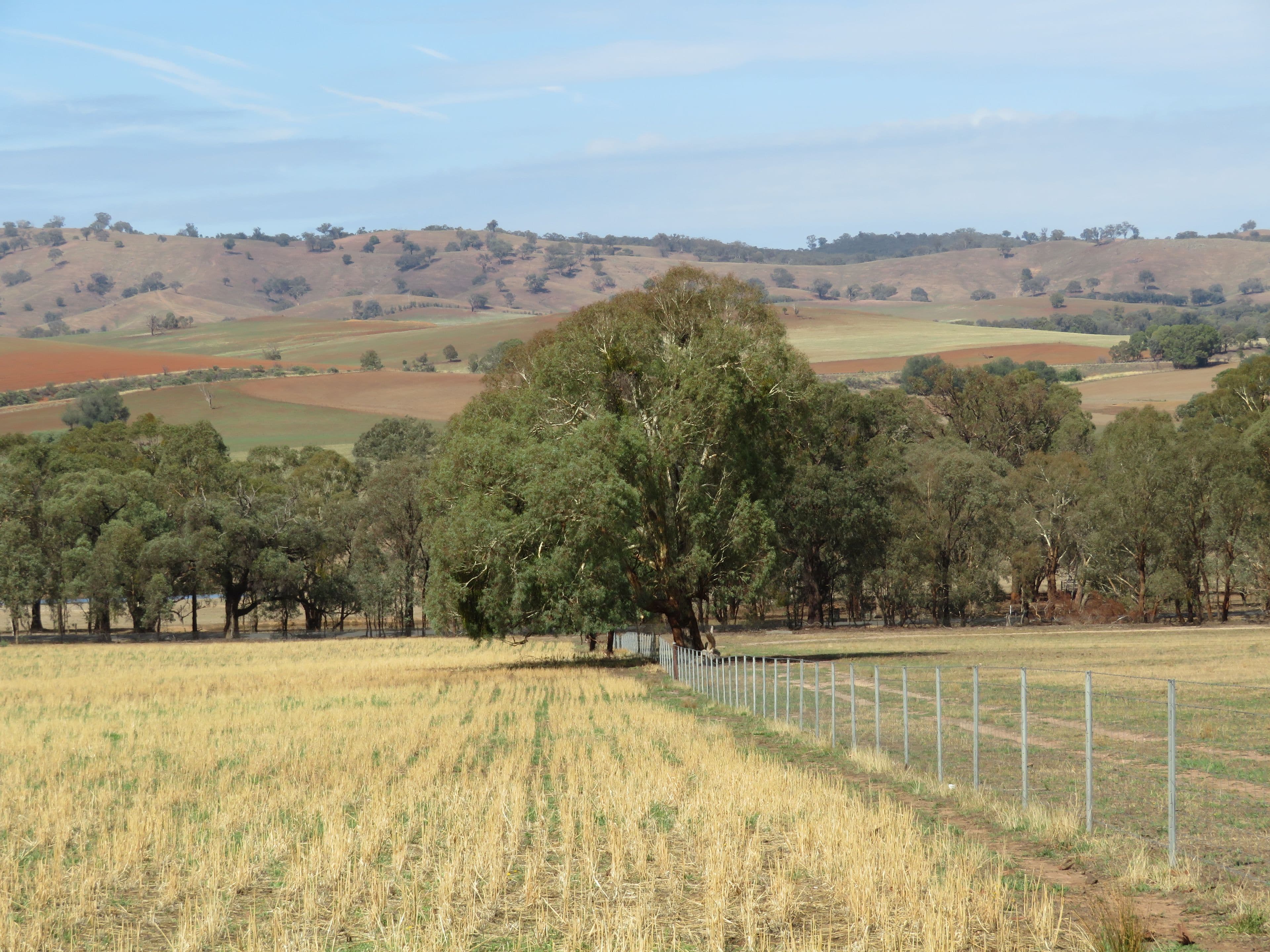 Lot 4 Old Hume Highway (Mundarlo Rd), Tumblong NSW 2729, Tumblong - Thumbnail 7