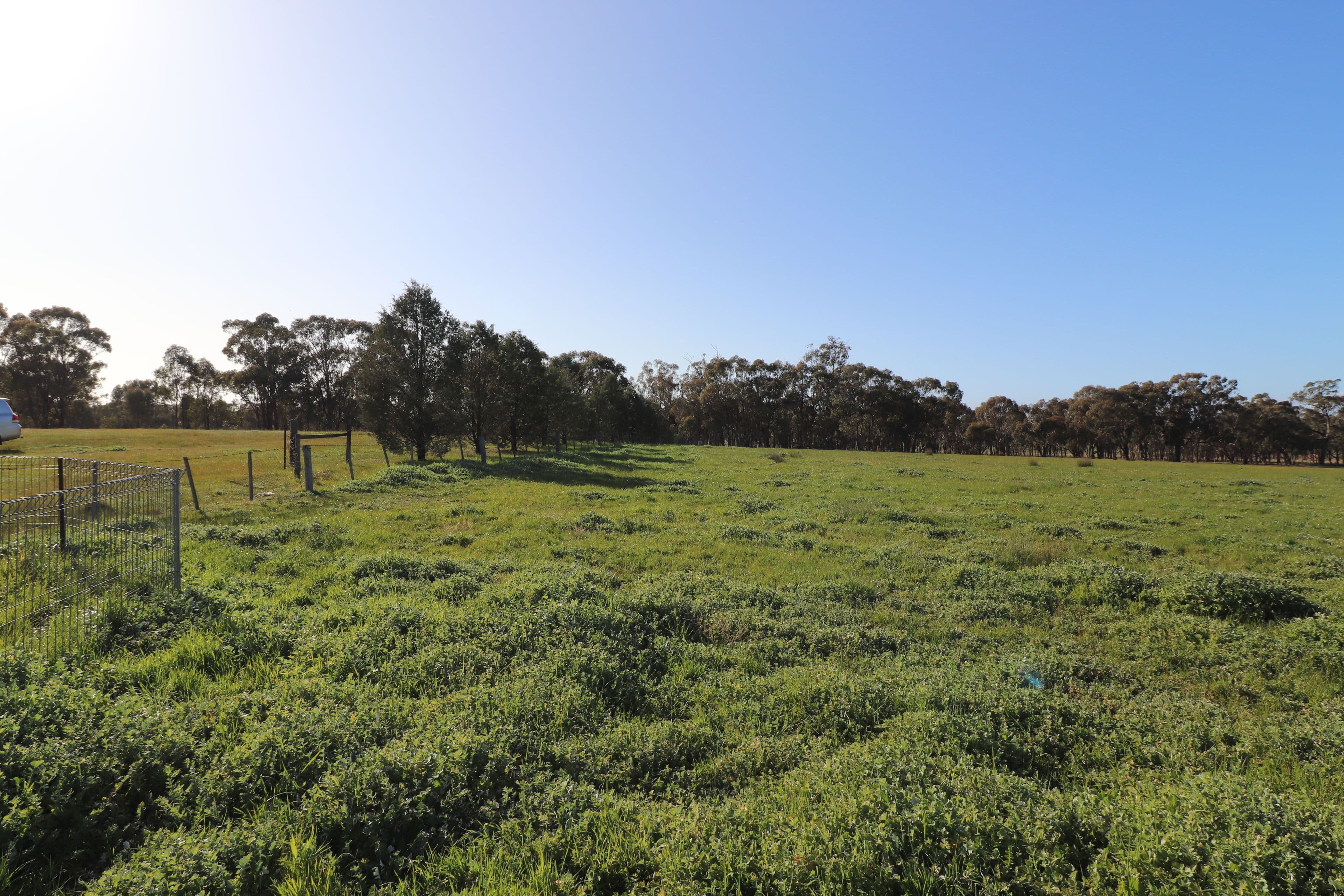 195 Camp Road, Murchison VIC 3610, Murchison - Thumbnail 3