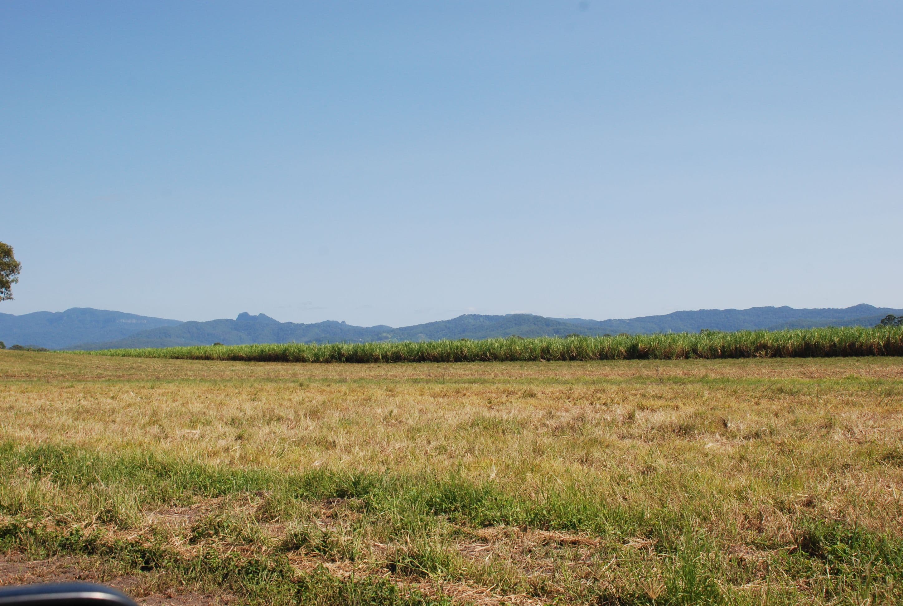 163 Reserve Creek Road, South Murwillumbah NSW 2484, South Murwillumbah - Thumbnail 5