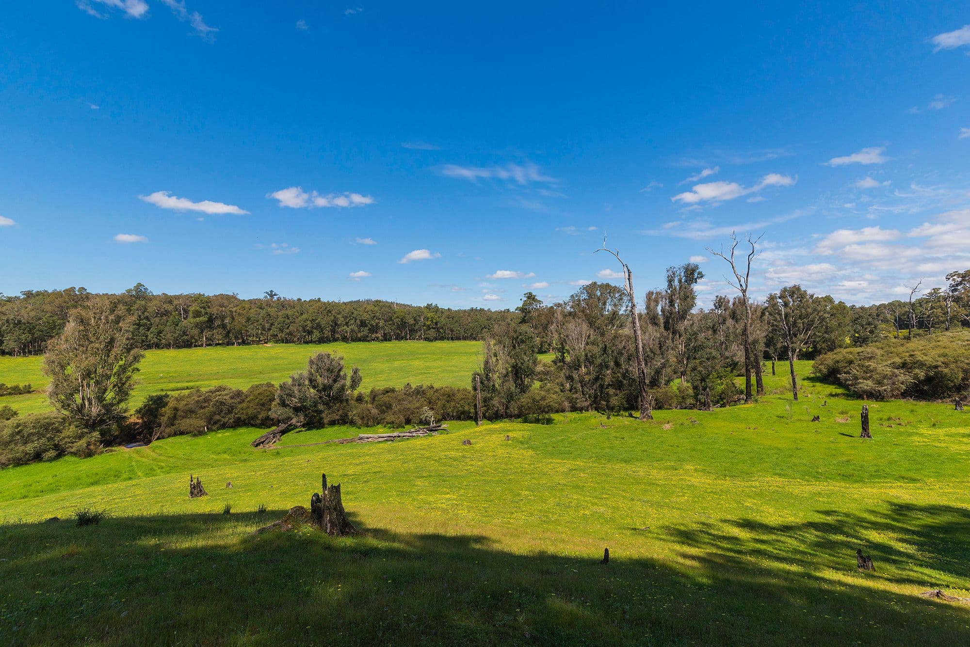 Nannup WA 6275, Nannup - Thumbnail 5