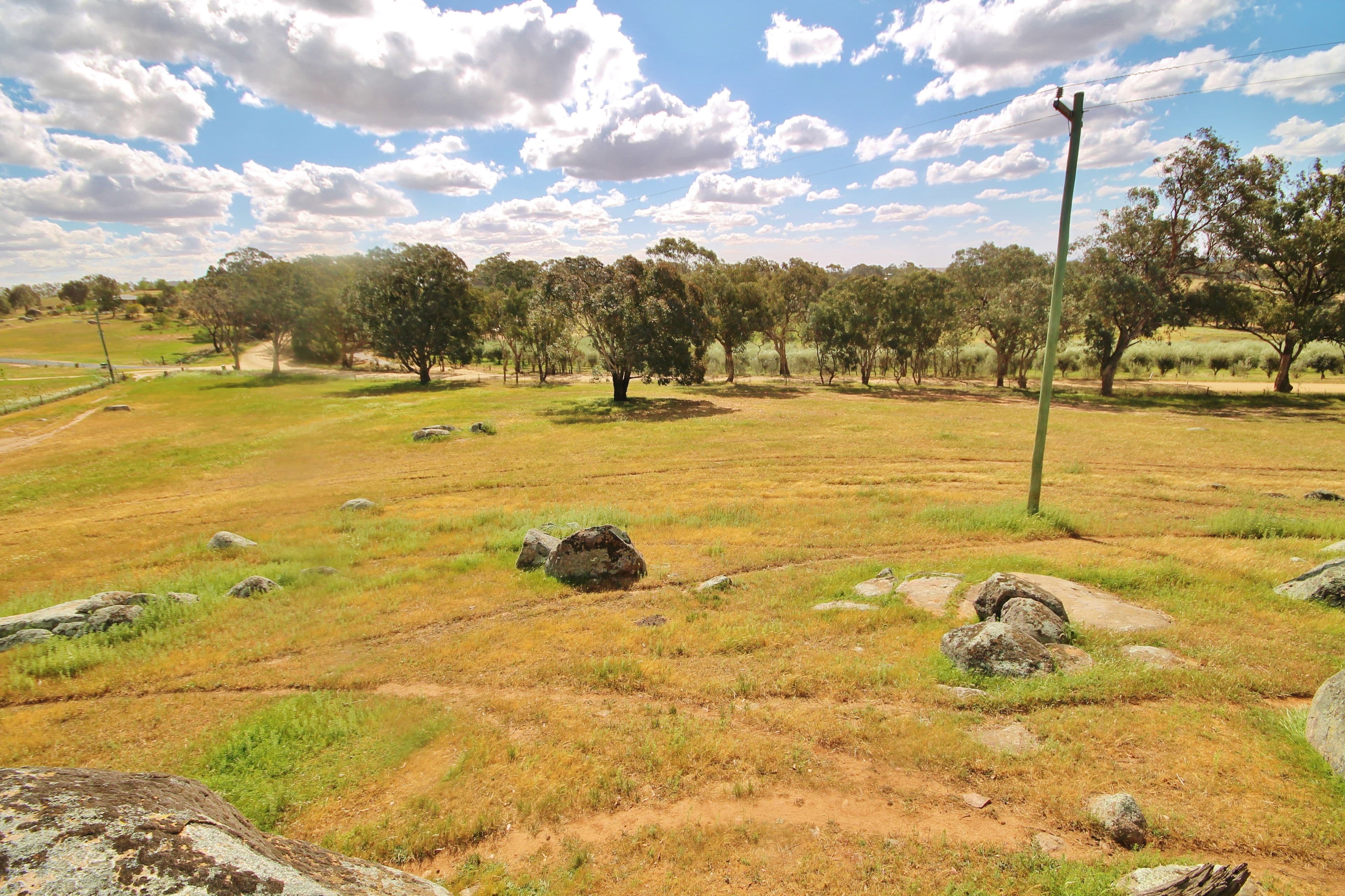 495 Spring Creek Road, Young NSW 2594, Young - Thumbnail 6