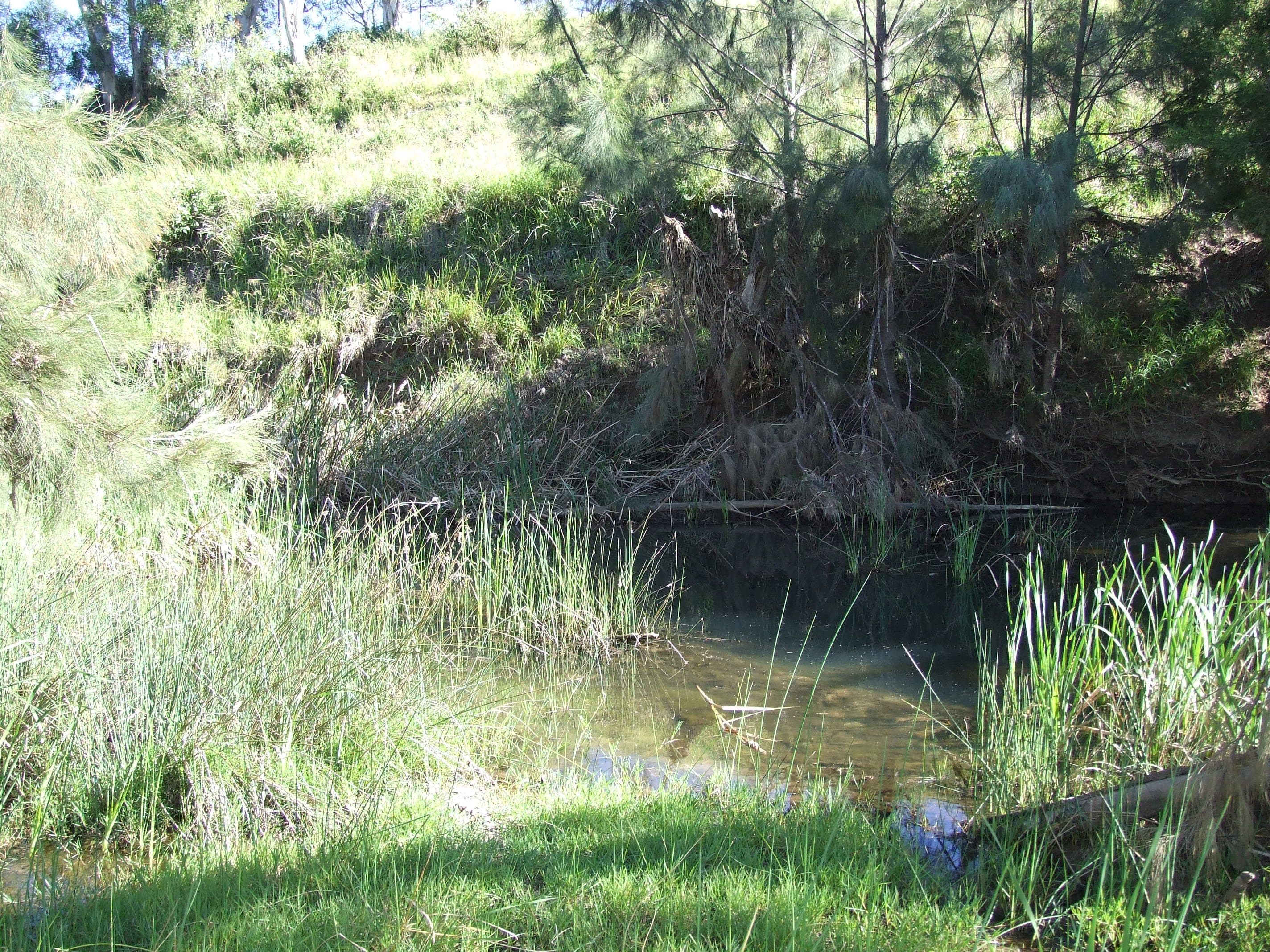 L11 Pierce Creek Road, Emu Creek QLD 4355, Emu Creek - Thumbnail 5