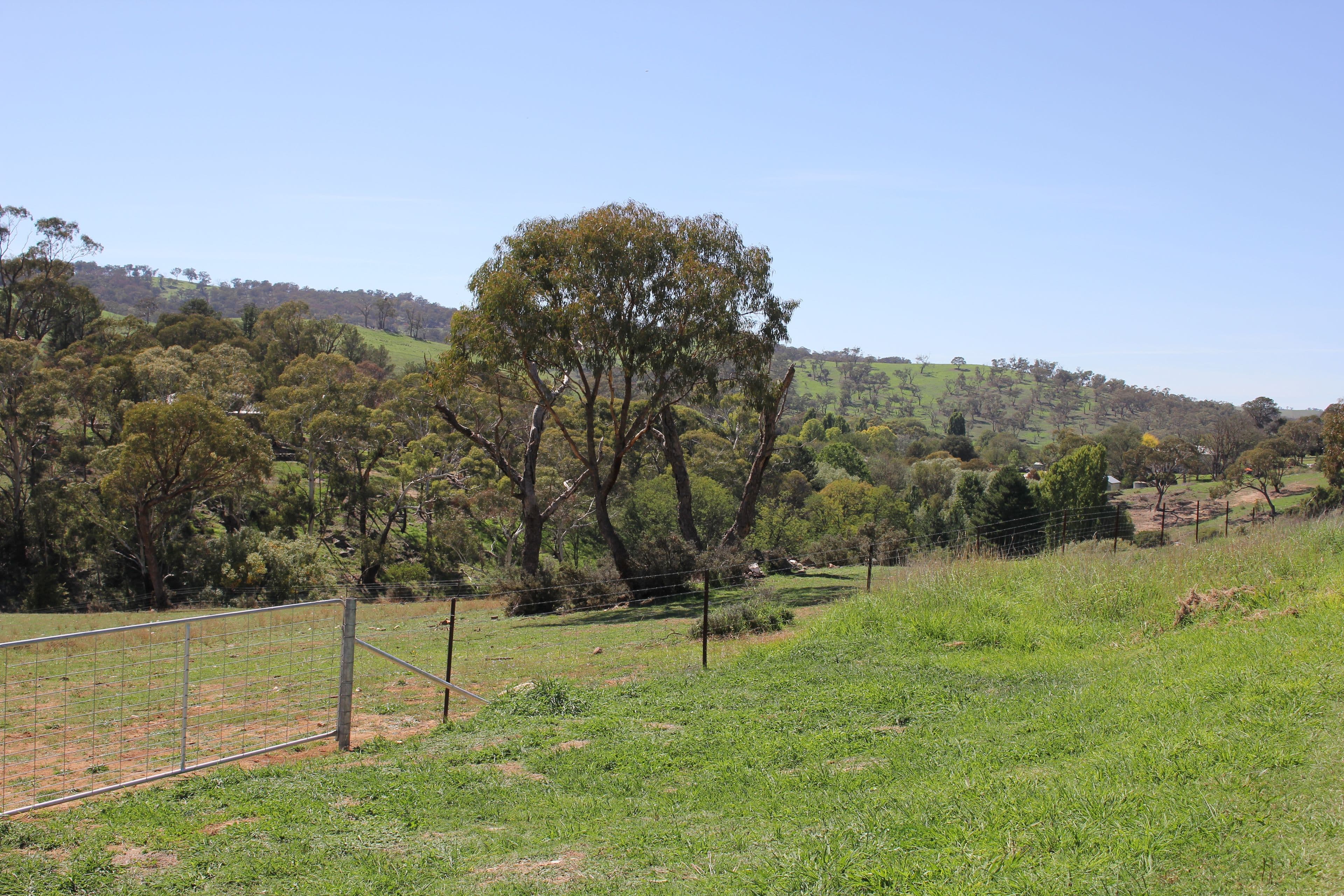 Rockley NSW 2795, Rockley - Thumbnail 4