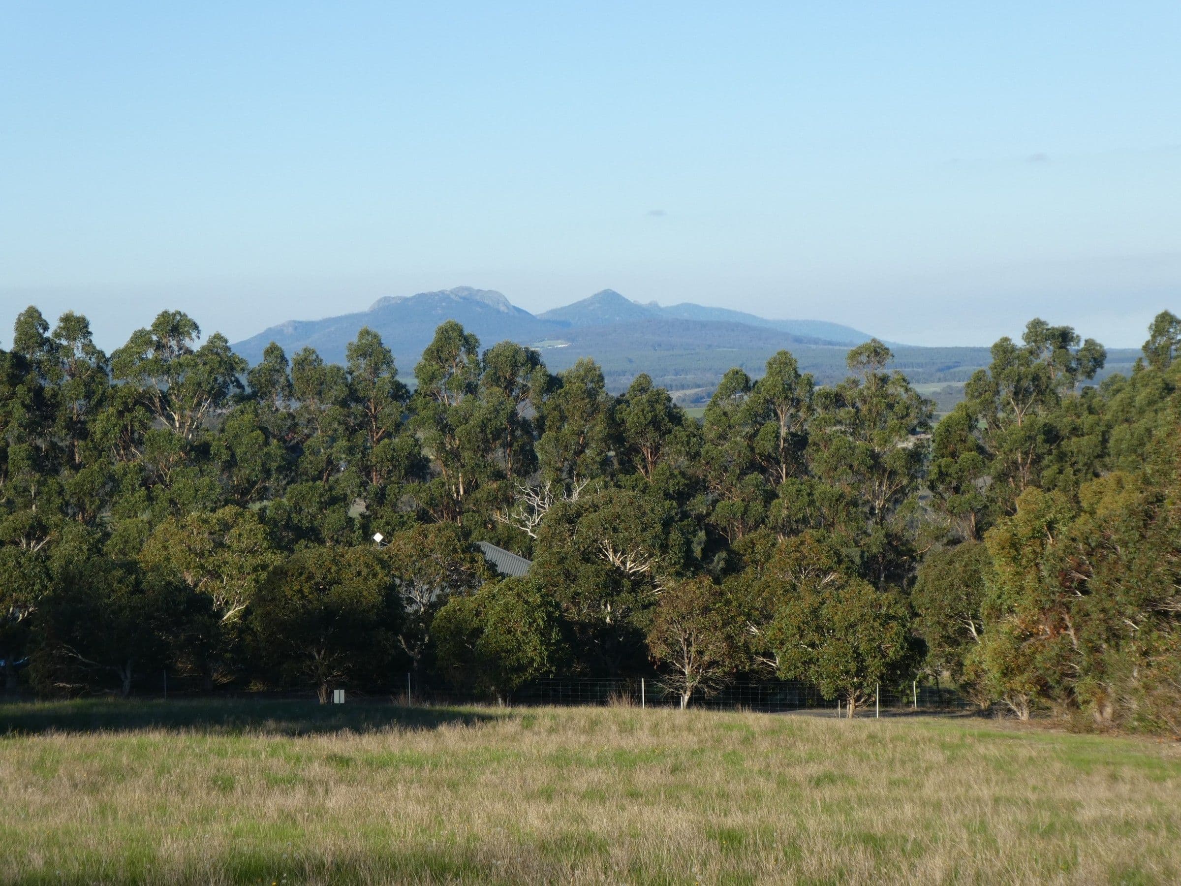 Lot 64 Braidwood Road, Mount Barker WA 6324, Mount Barker - Thumbnail 4