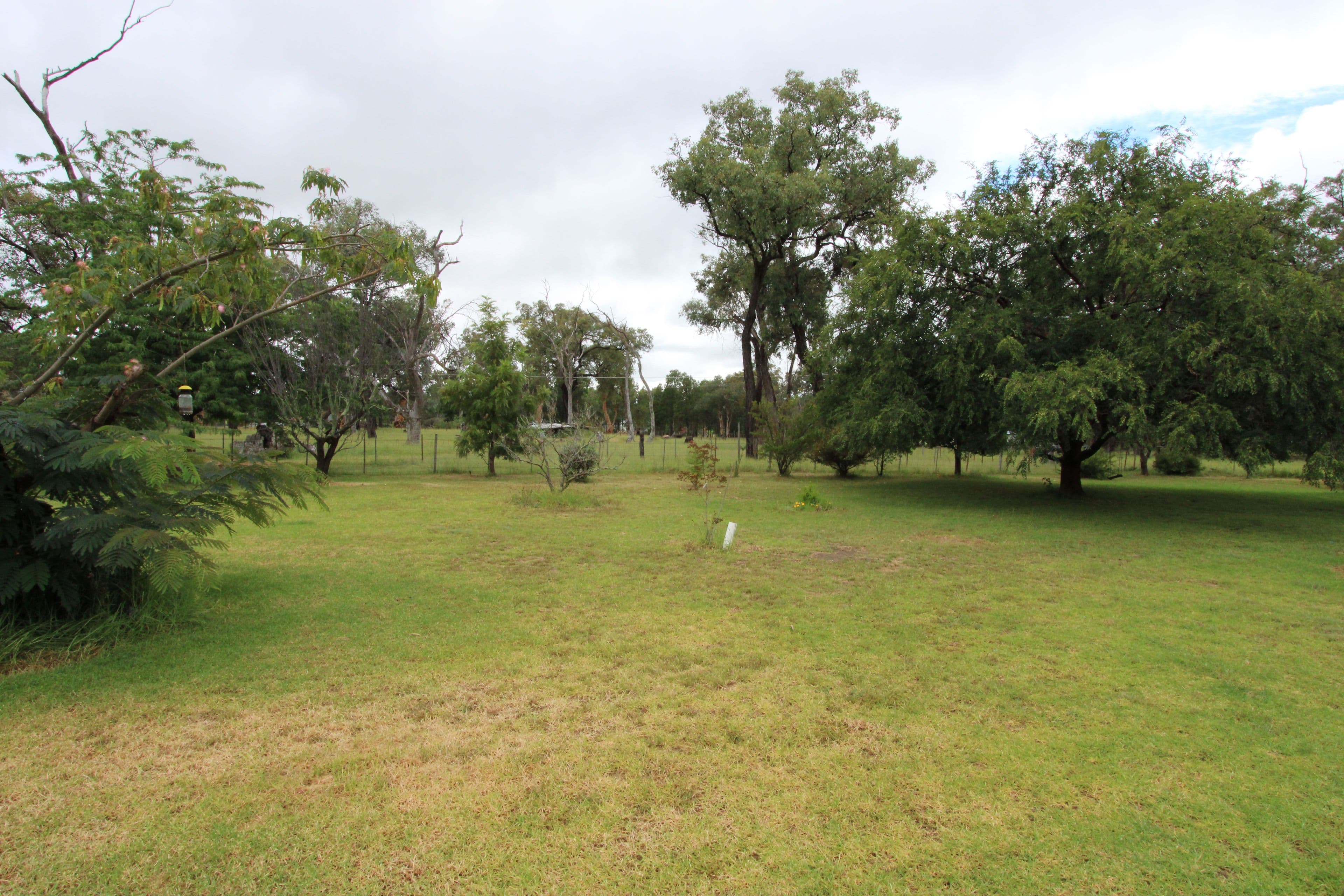 49 Hall Street, Inverell NSW 2360, Inverell - Thumbnail 6